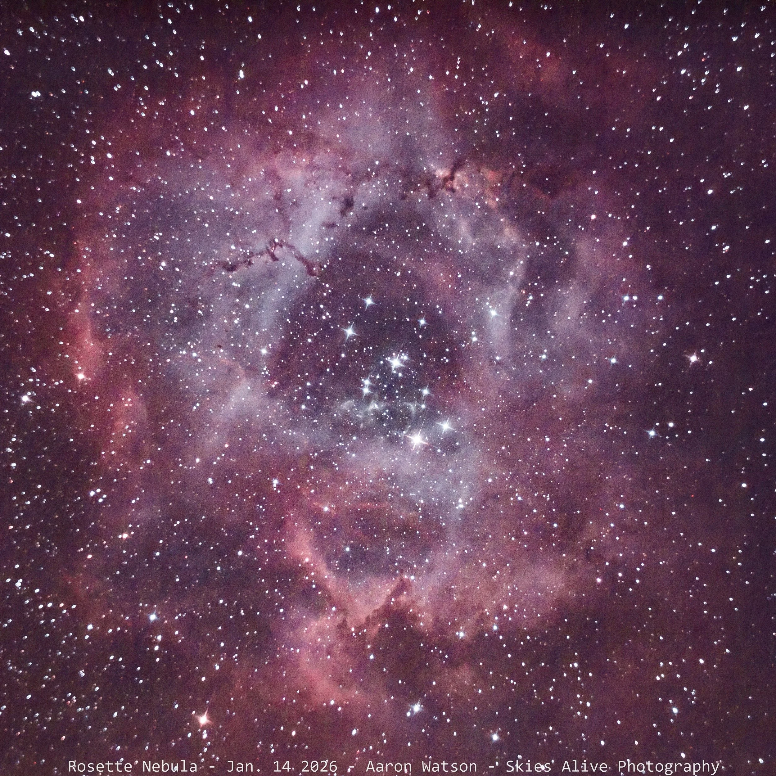 Rosette Nebula