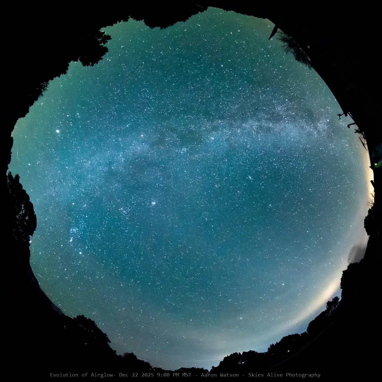 DSC_1508- 855 PM-topaz-2-2.jpg