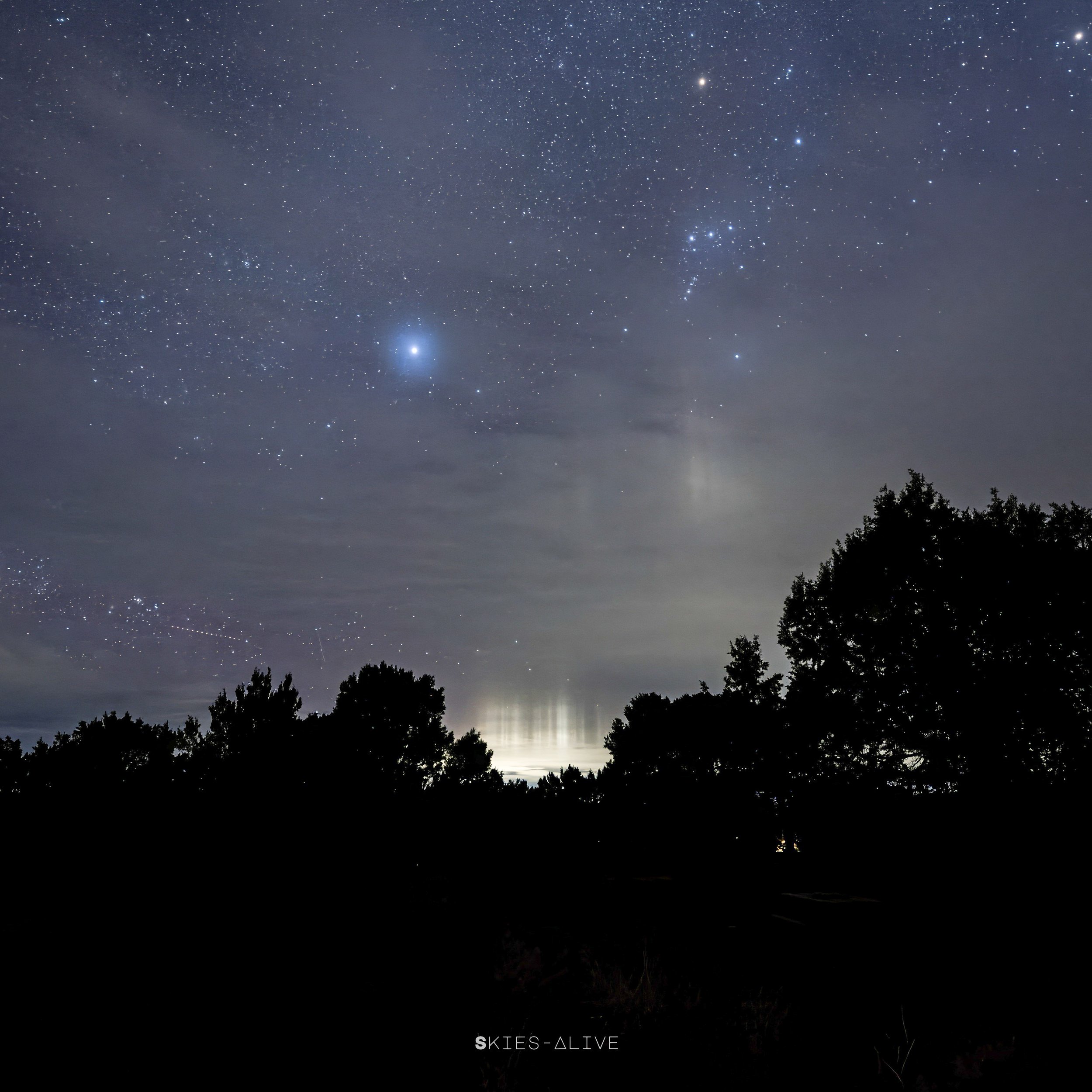 The Monster's light pillar teeth with Sirius and Orion as the eyes :)