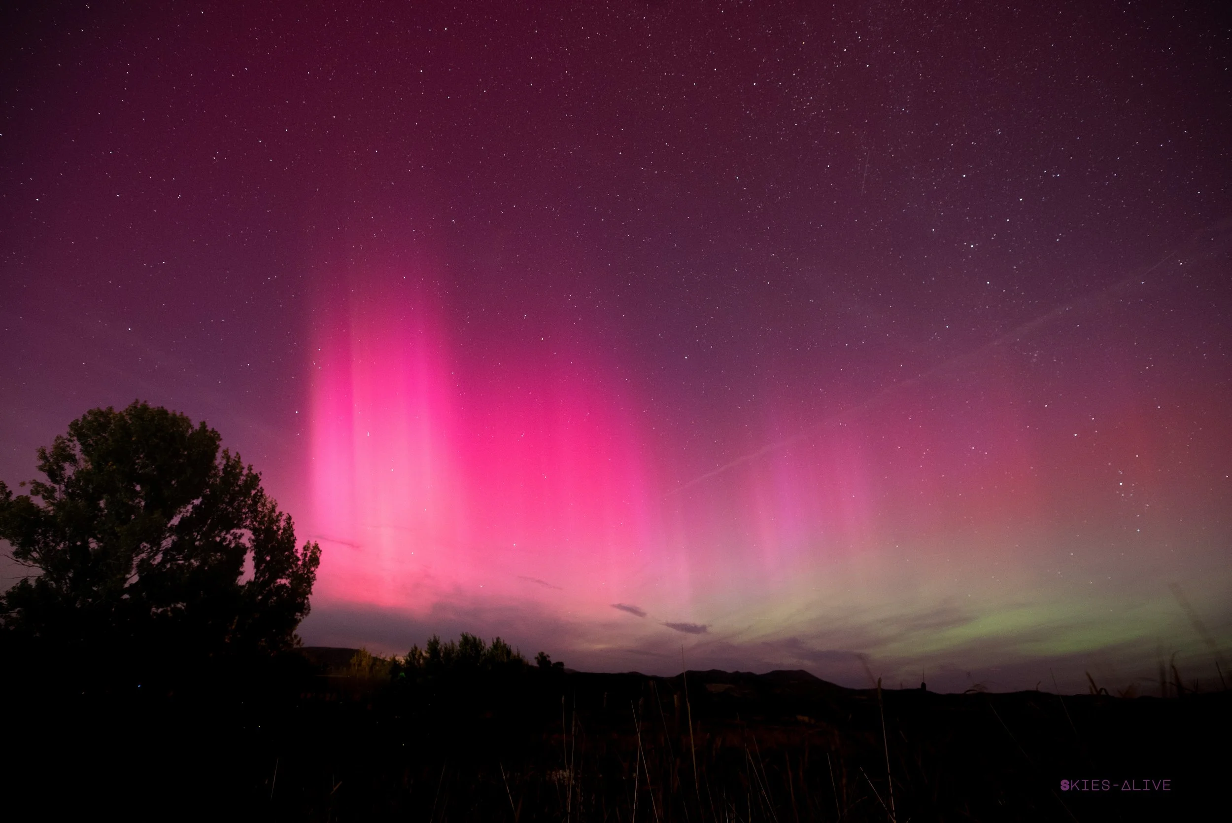 Skies-Alive 24.10.10 Aurora kp9 DSC_5360 i.jpg