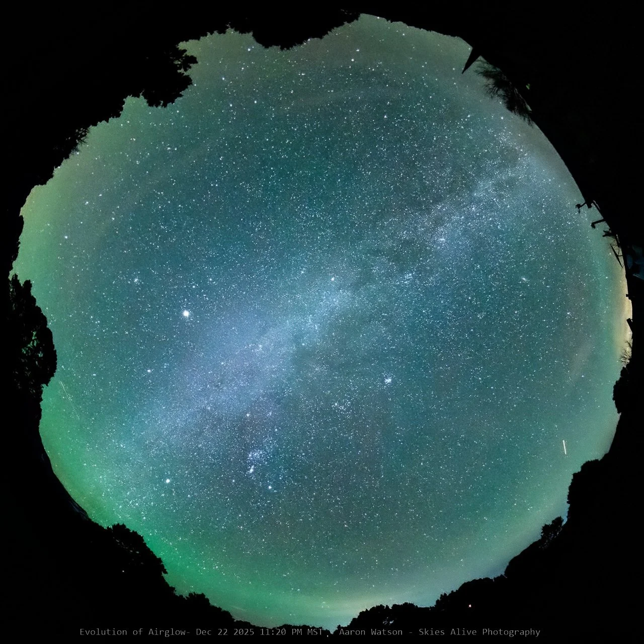 DSC_1509 - 1118 PM-topaz-2-2.jpg