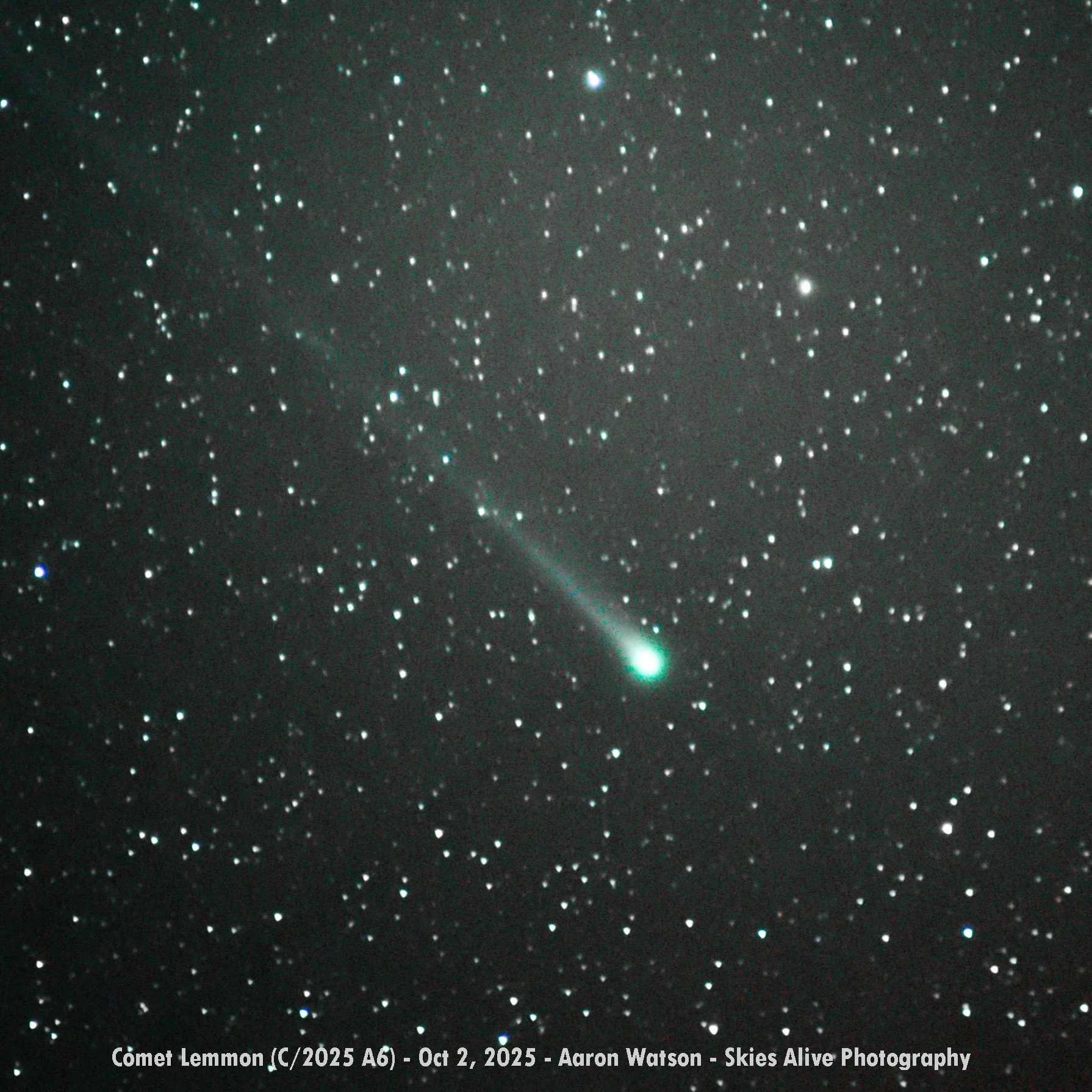 Comet Lemmon Close up