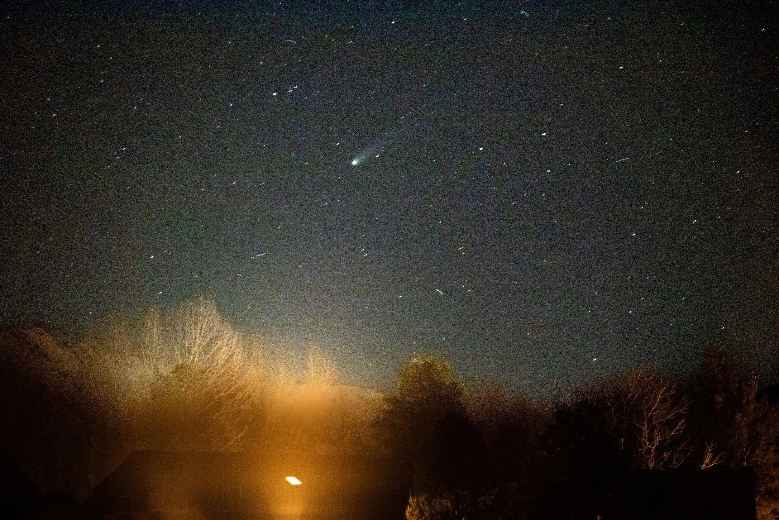 Comet Lemmon - Ridgway Star Party