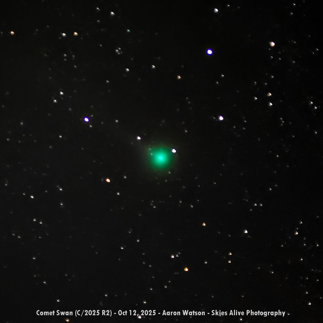 Comet Swan Close-up