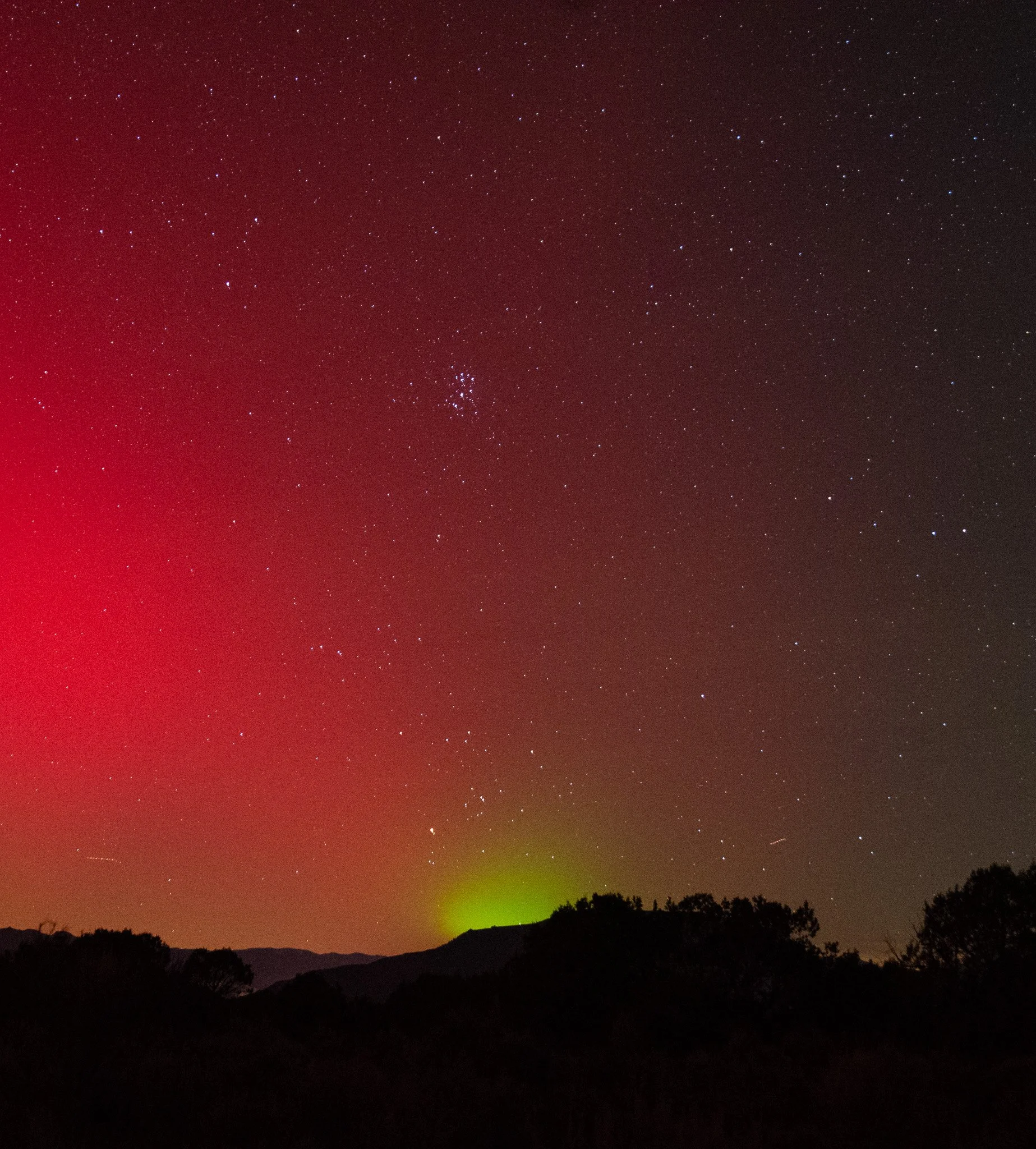 25.11.11 Proton Blob DSC_1327.jpg