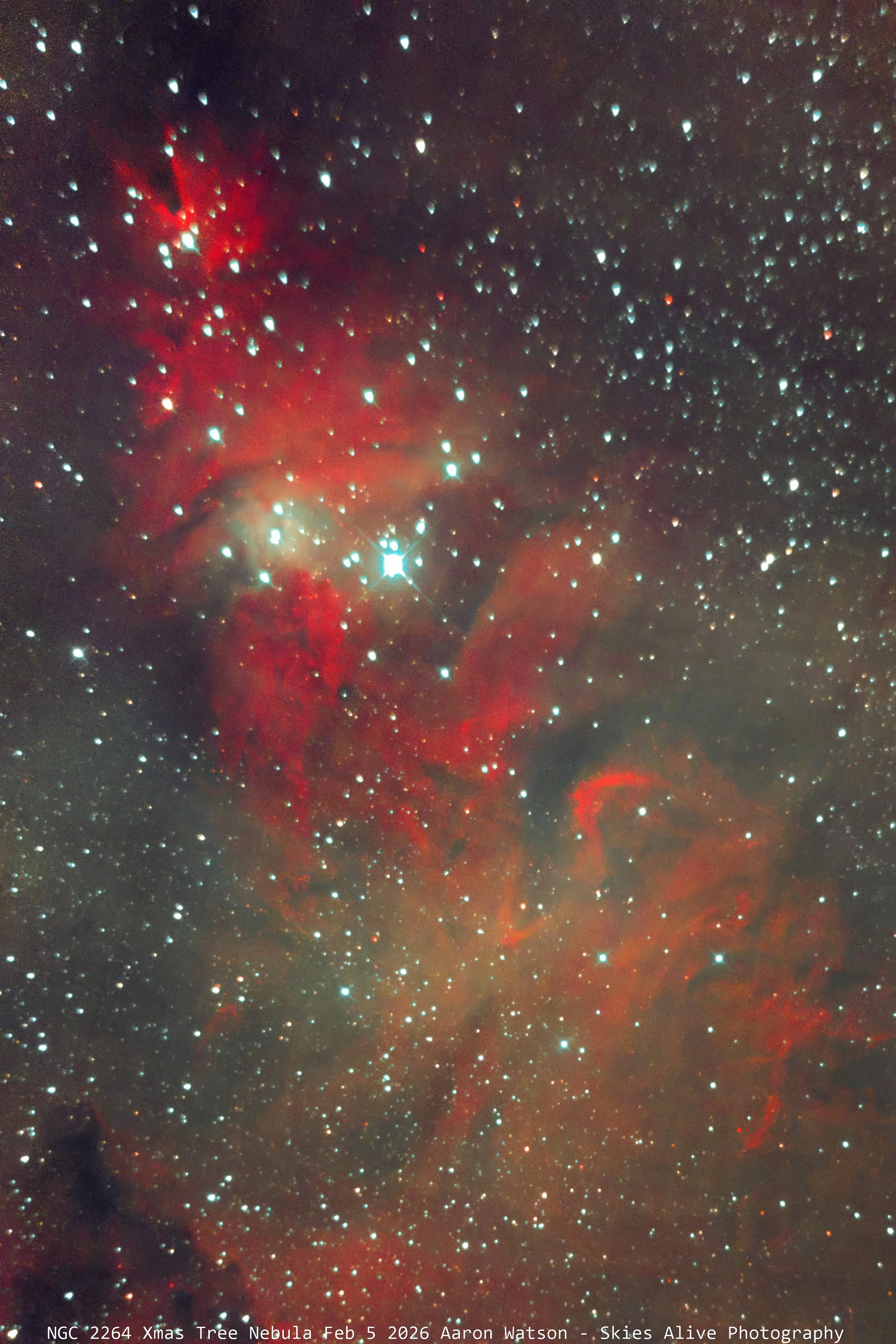 Christmas Tree Cluster and Nebula