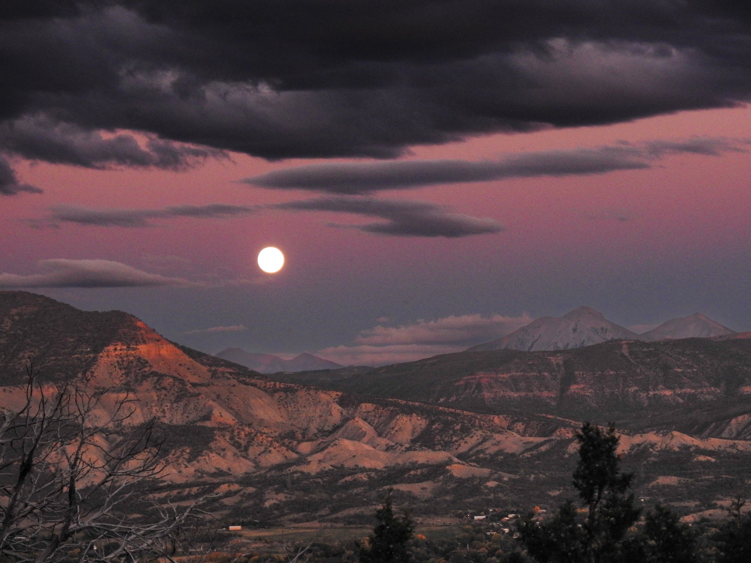 Harvest Moonrise - Jumbo
