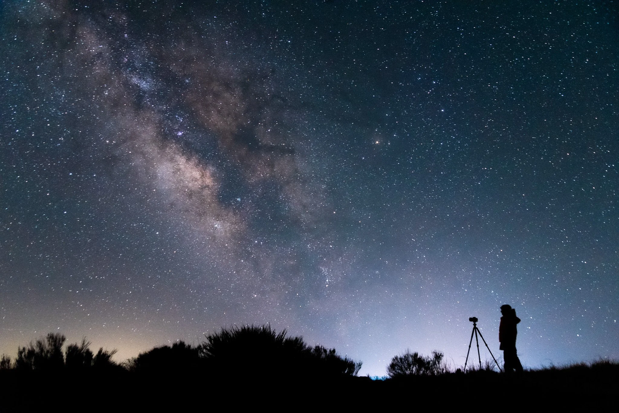 26.4.16 Portraits DSC_6547.jpg