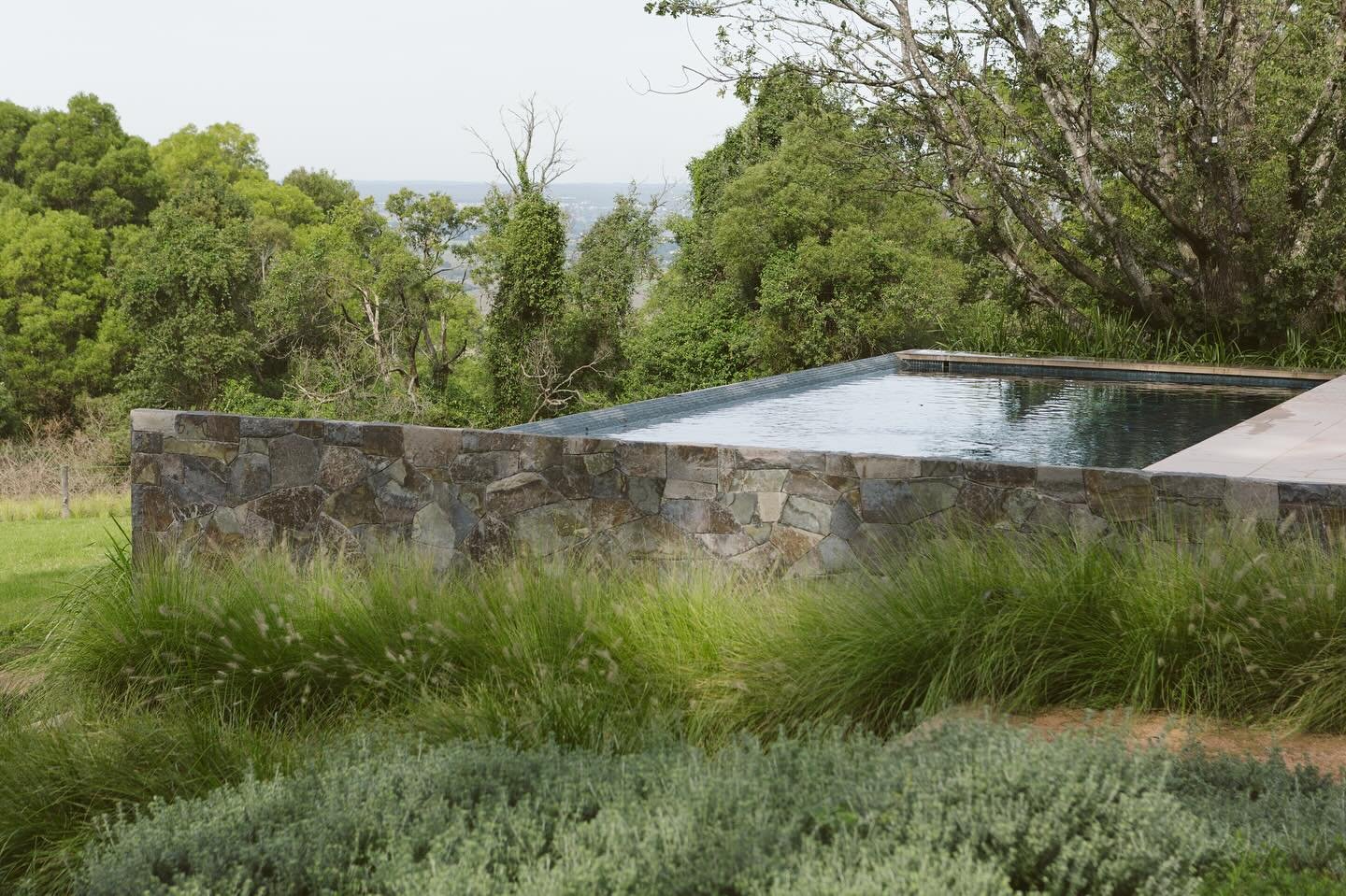 A considered, disappearing pool fence creating a seamless connection between pool, garden &amp; the natural landscape beyond.