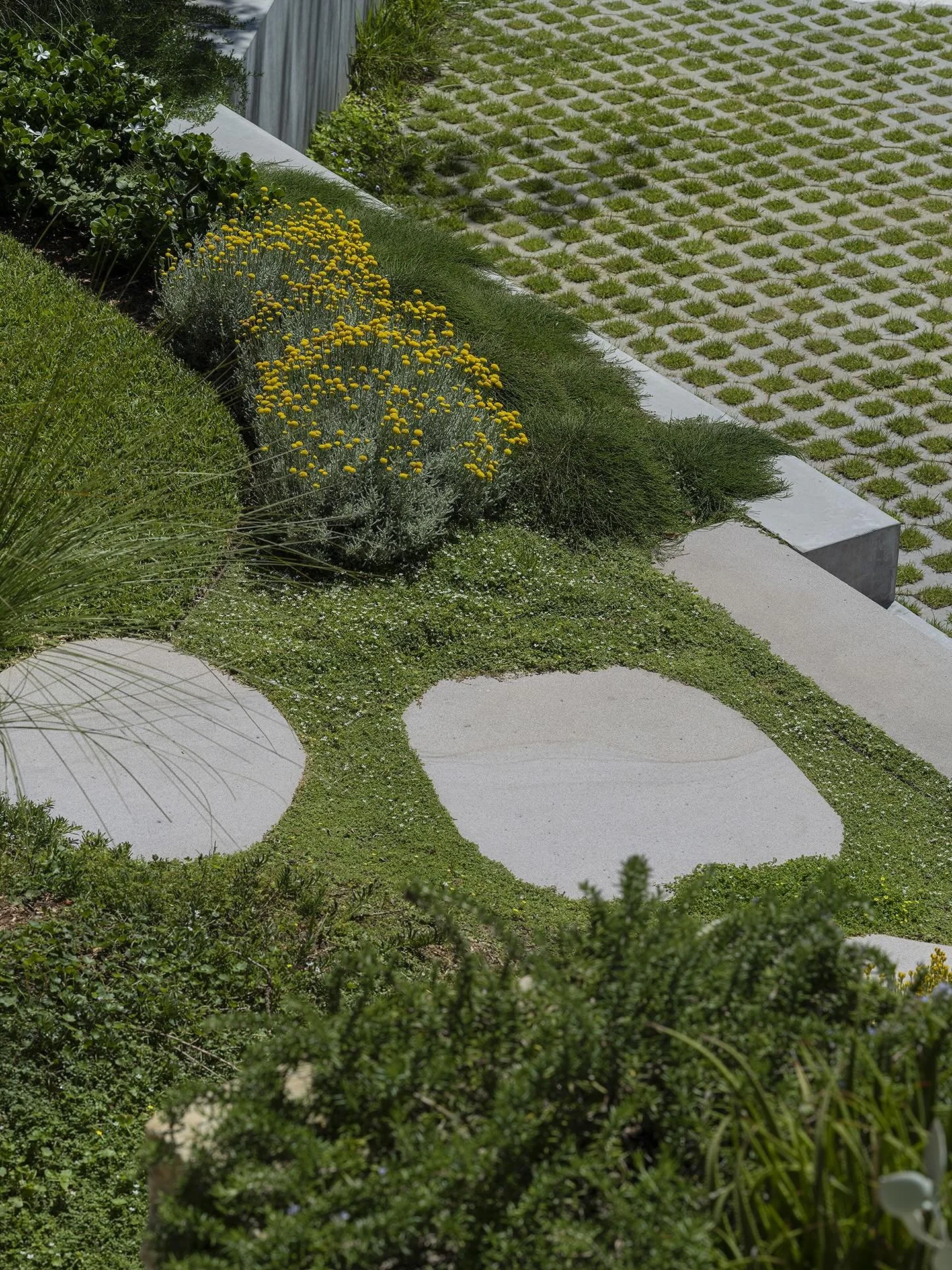Having some fun with concrete &amp; stone material applications around a mix of native plant textures.