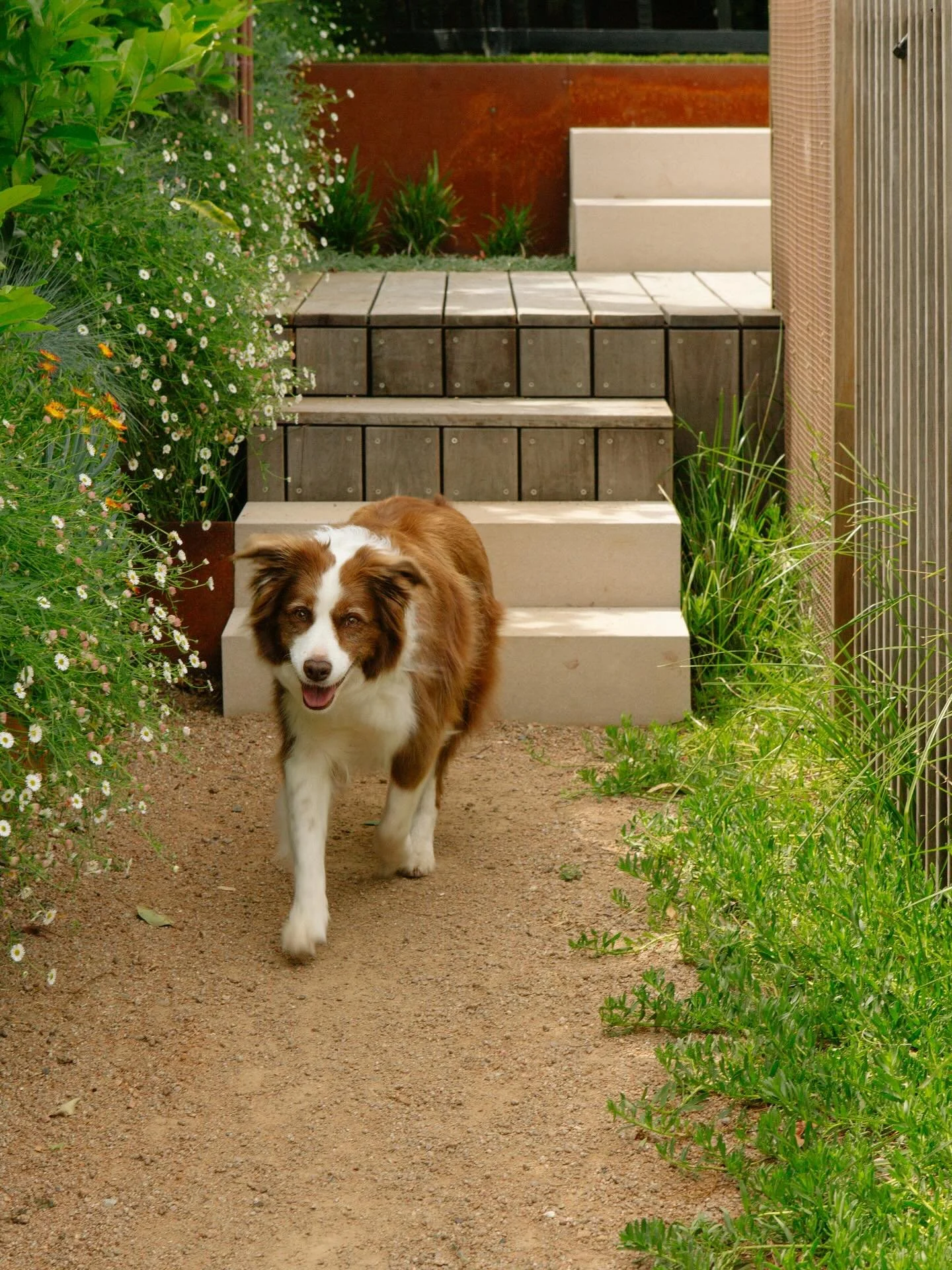 Creating gardens for the entire family.