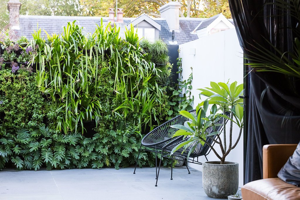  Paddington 
 Landscapes, Courtyards, Sydney 
