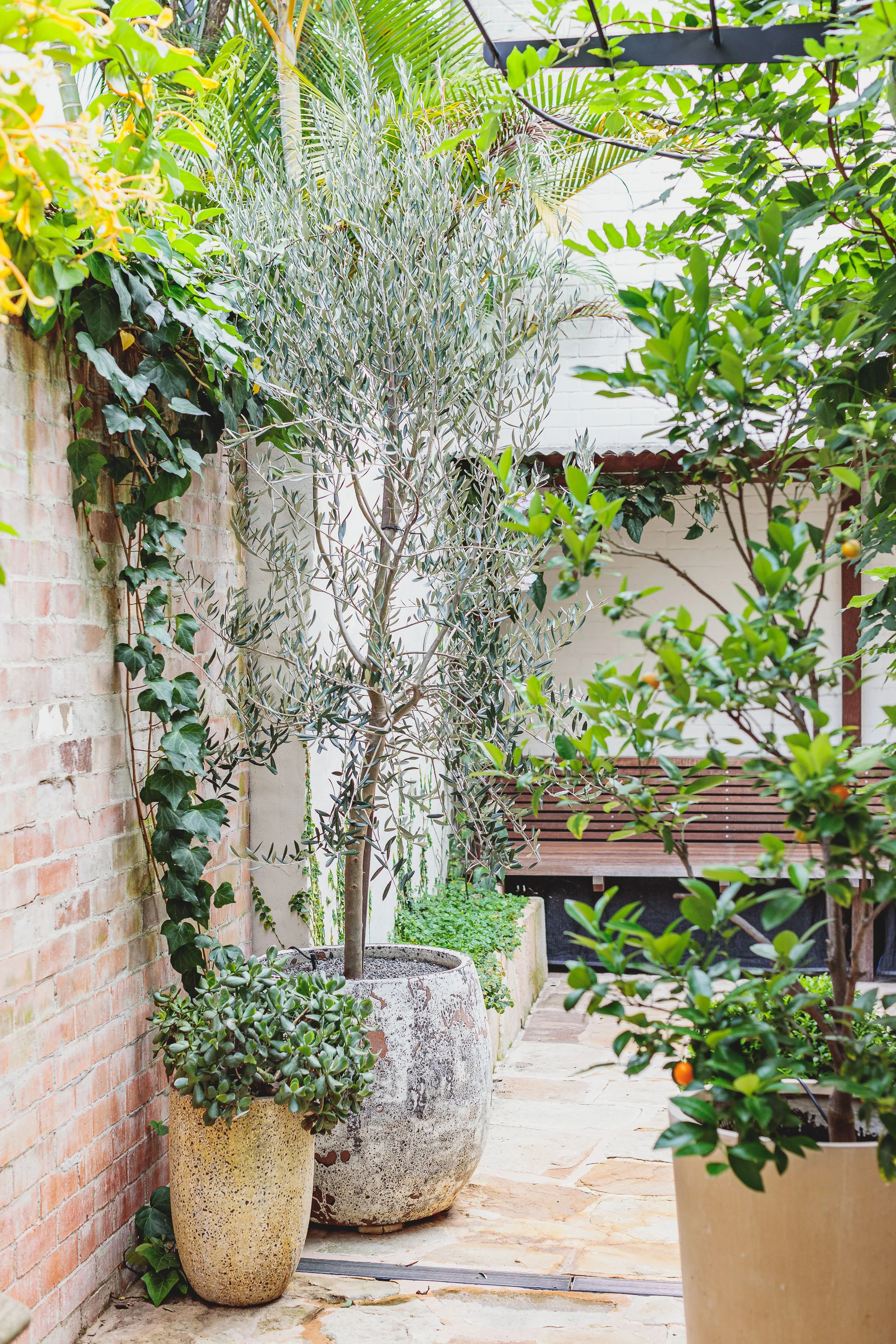 Landscape architect inner west