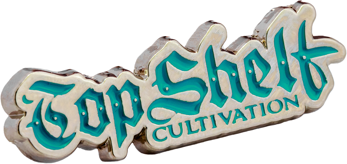 34. Logo Blue Pin Transparent.png