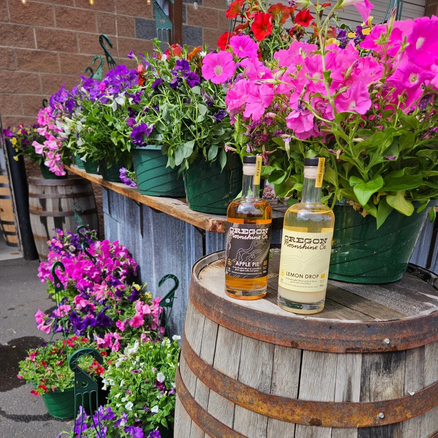 Free flower basket with purchase of Lemon Drop or Apple Pie at New Basin Distillery!
@newbasindistilling @thebar_newbasin