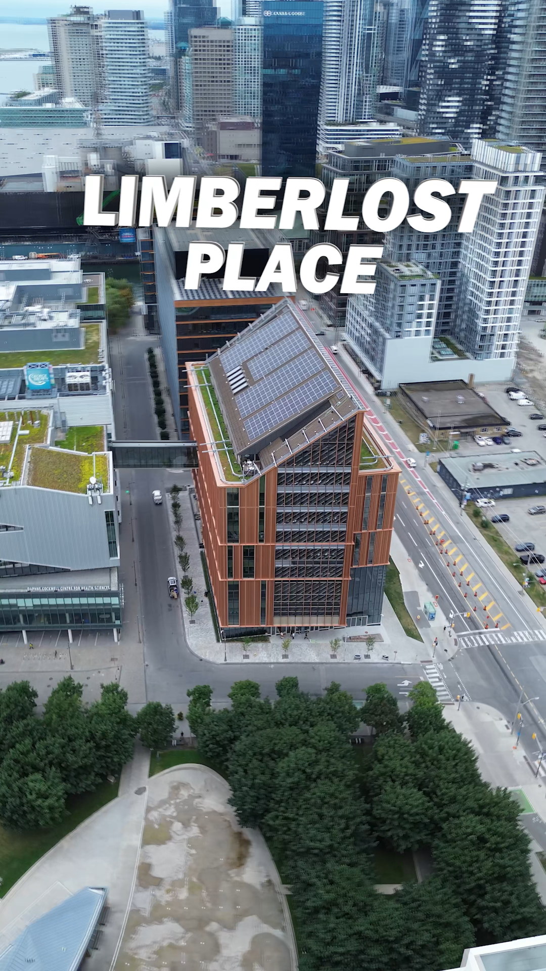 GEORGE BROWN COLLEGE