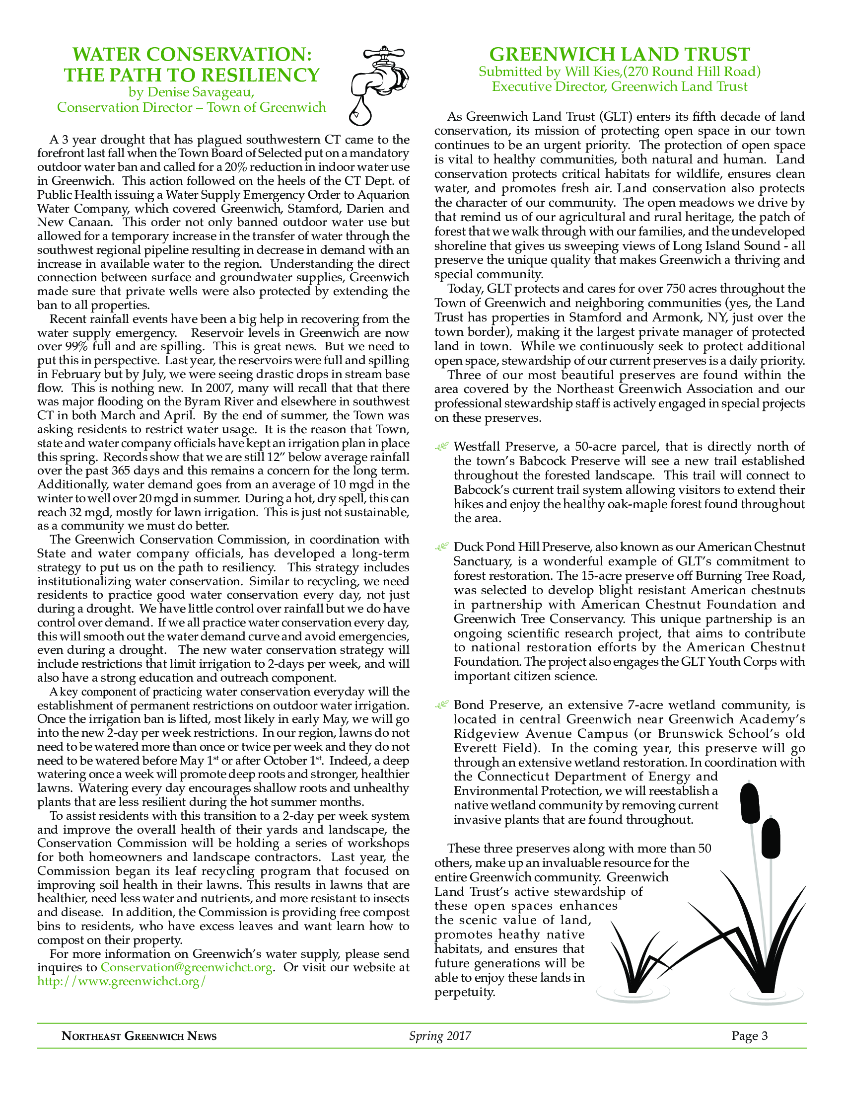 NEGA Spring 2017 Newsletter (1) 3 of 6.png
