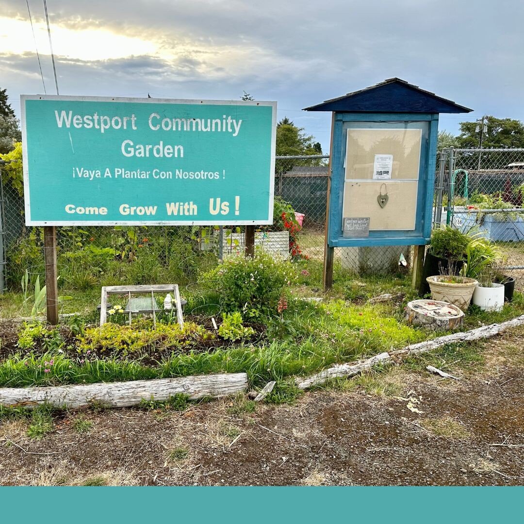 🌻Garden planners invited me in with an artistic signage display; even leaving the gate open. There was a plethora of individually decorated raised garden bins that were cleverly repurposed seafood shipping containers. 

🌻From USDA zone 6a and 6b, I