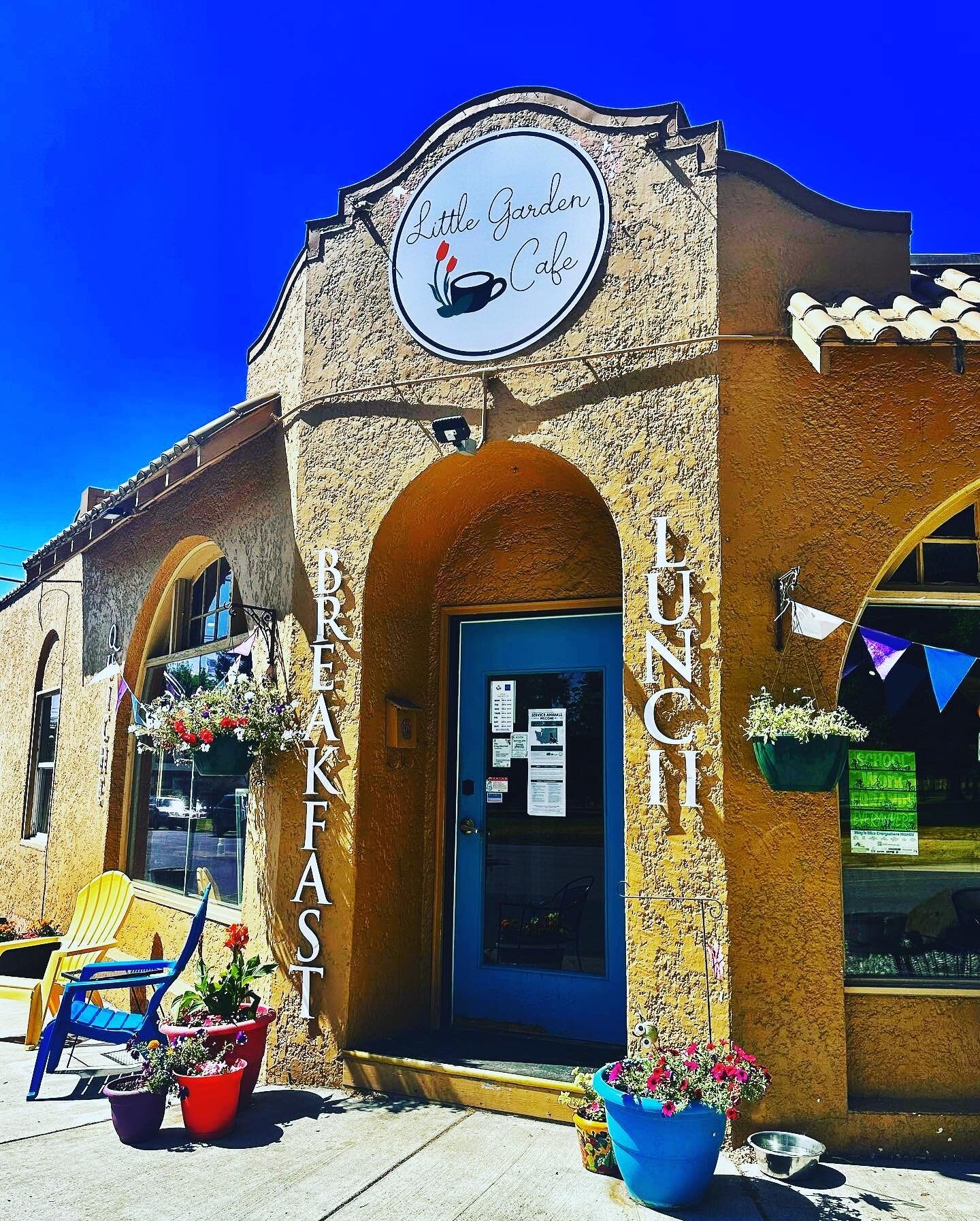 Walking into my favorite neighborhood cafe, I look to my right and see my motivation for gardening.🌻

#urbangardening#organicgardening#gardening#gardeninglife#explore#trending