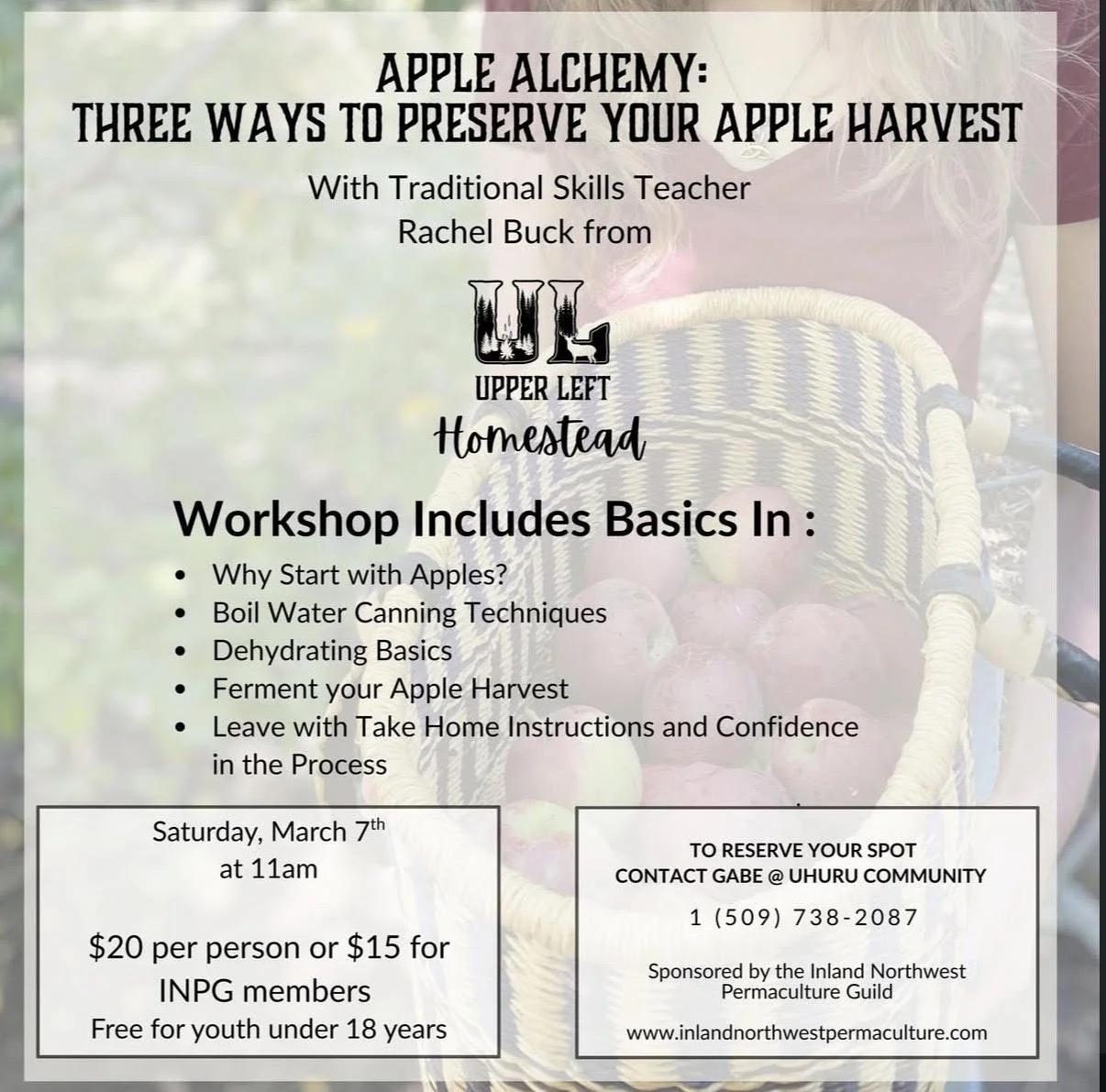 Apple Alchemy: Three ways to preserve your apple harvest 