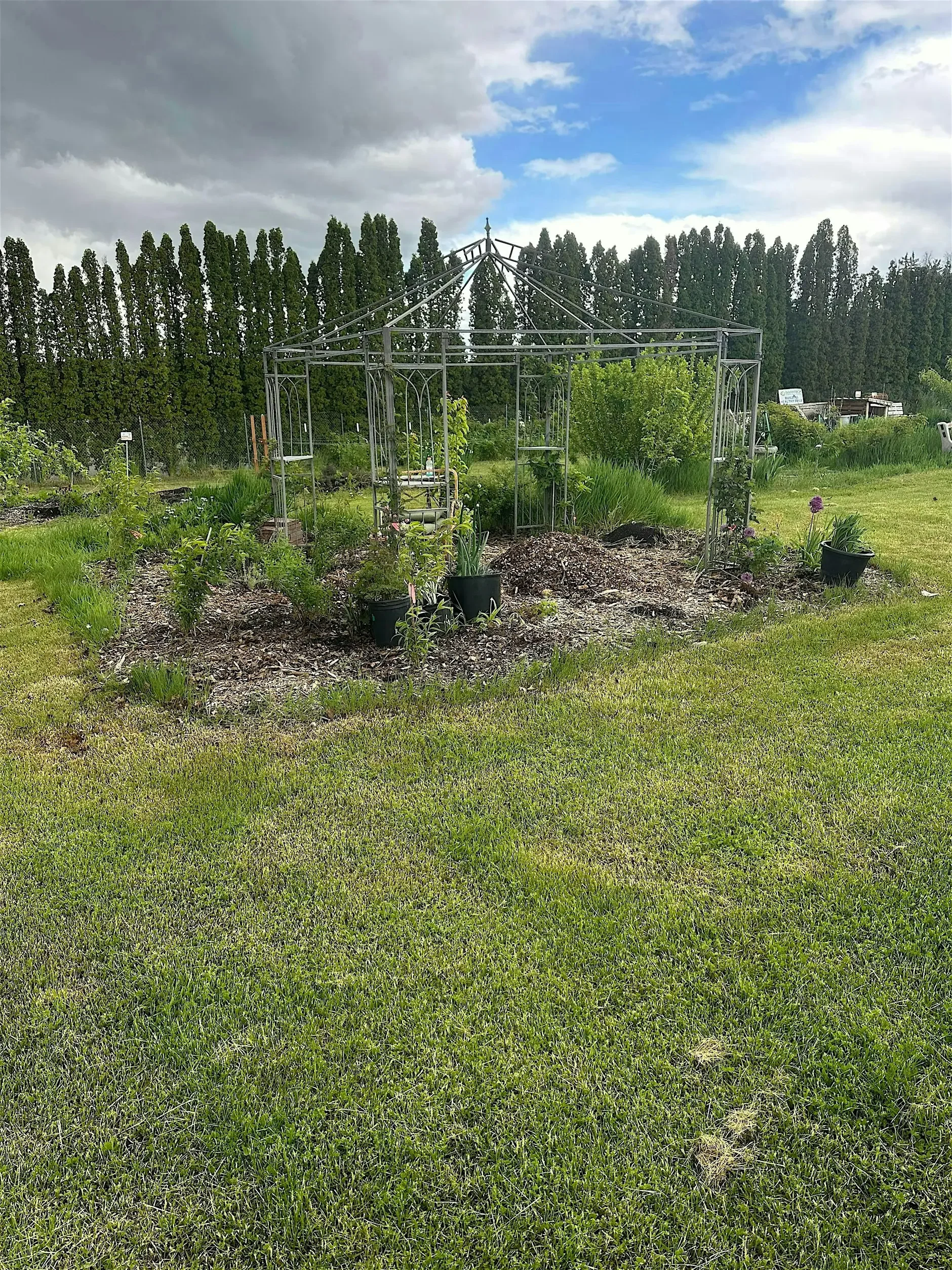 Exploring Food Forests at Mission Meadows Community Garden