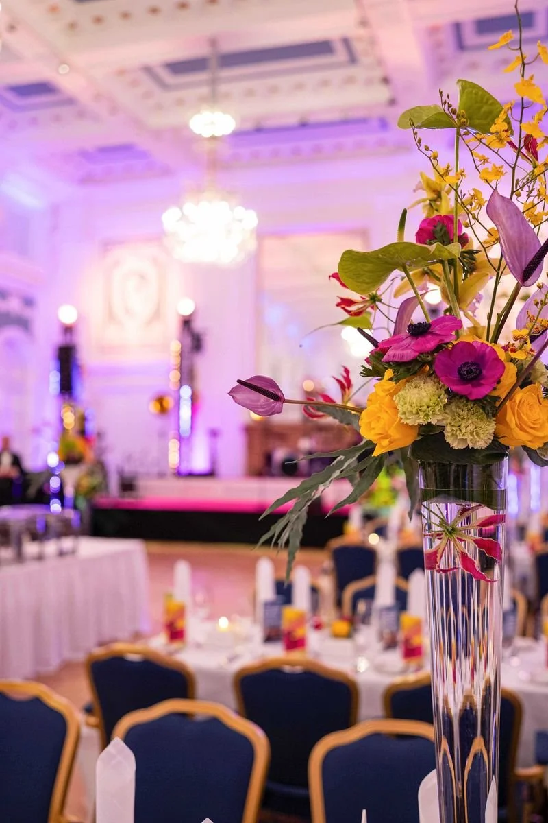 csm_Hamburger_Presseball_2025-5_a0a21e20d2.jpg