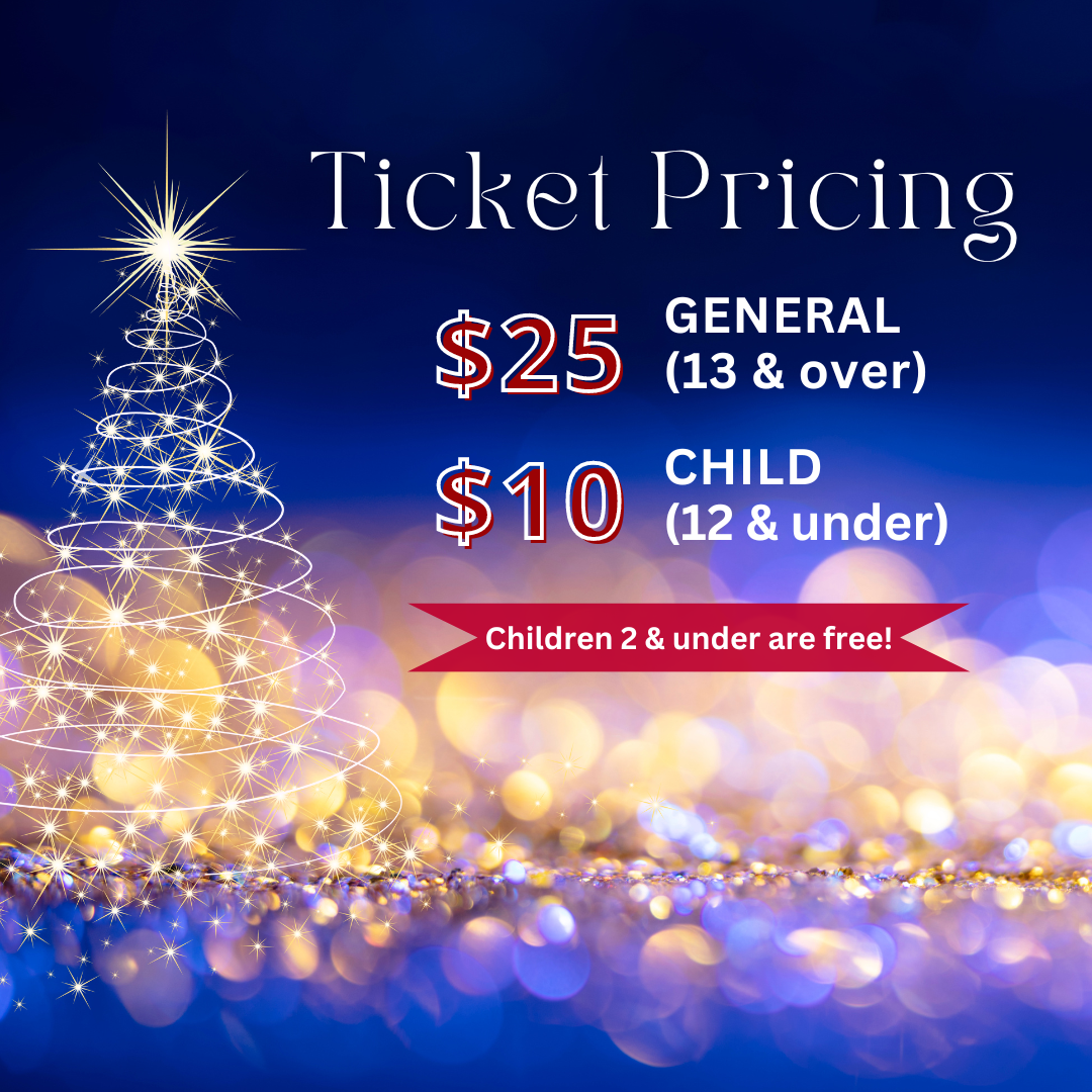 General 2 — SYV Holiday Lights Festival