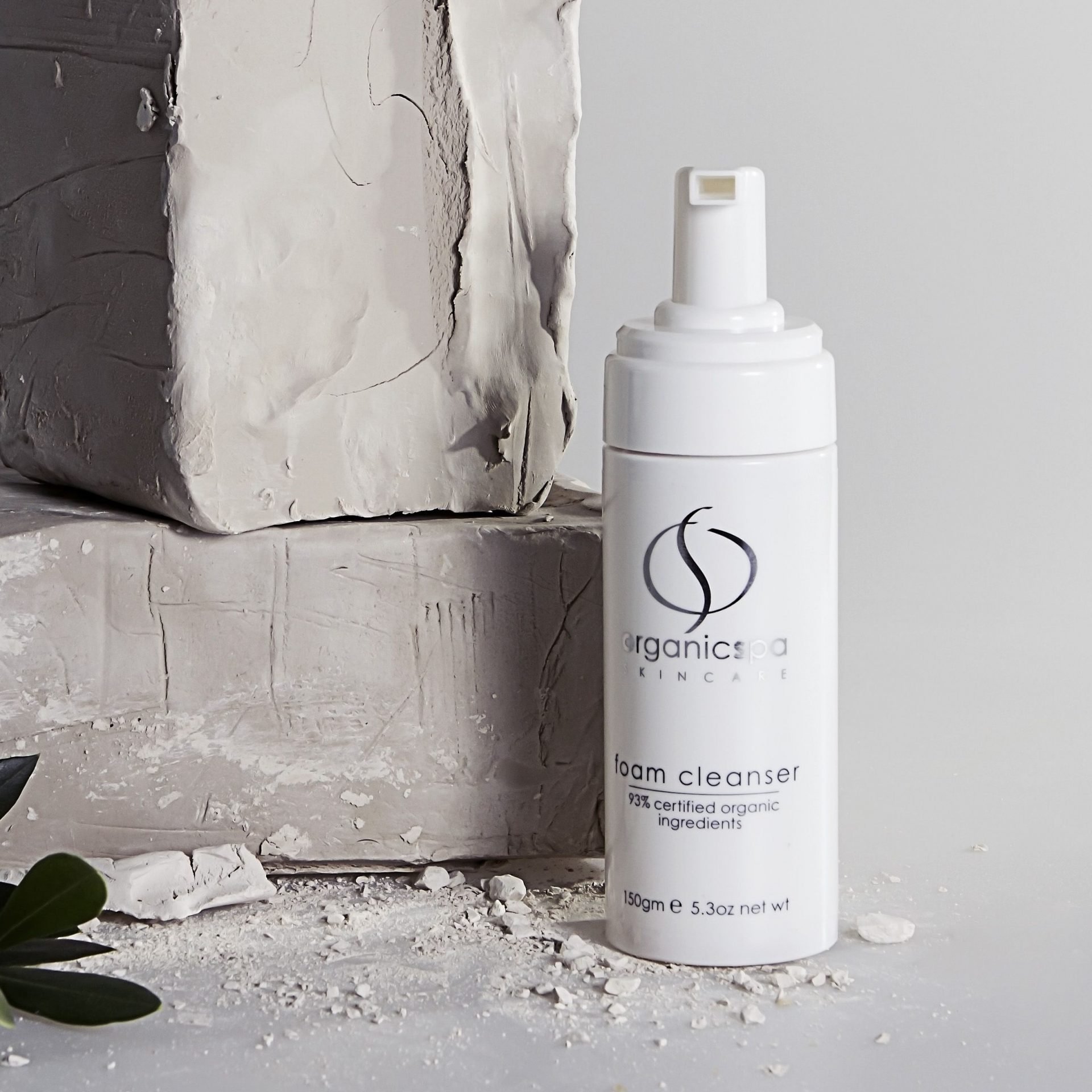 organic-spa-foam-cleanser-product.jpeg