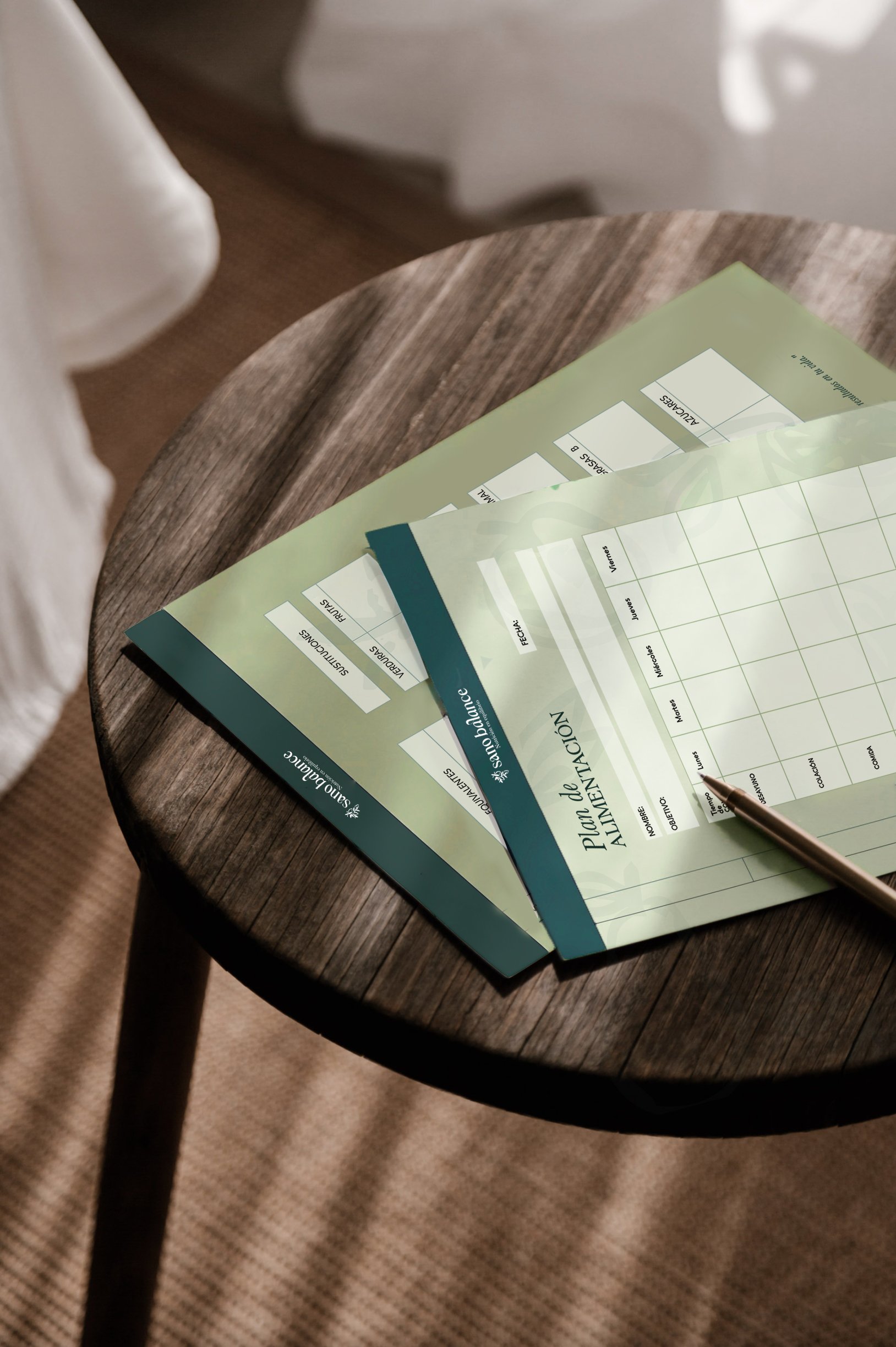 PLAN DE ALIMENTACIÓN.jpg