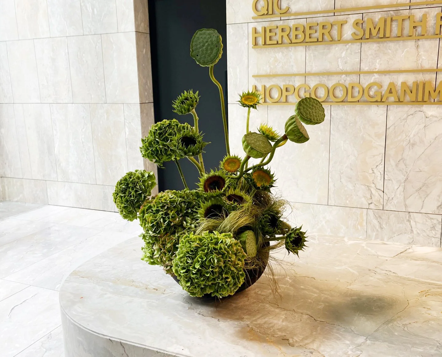 360 Arrangement.jpg