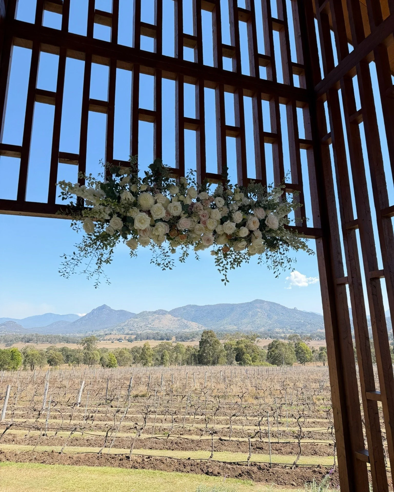 A horizontal arbour to frame the stunning backdrop of @kooroomba_lavender_farm  for Sophie &amp; Ethan.

#BrisbaneWeddingFlorist #BrisbaneWeddings #LuxuryWeddingFlorist #WeddingFloralDesign #QueenslandWeddings