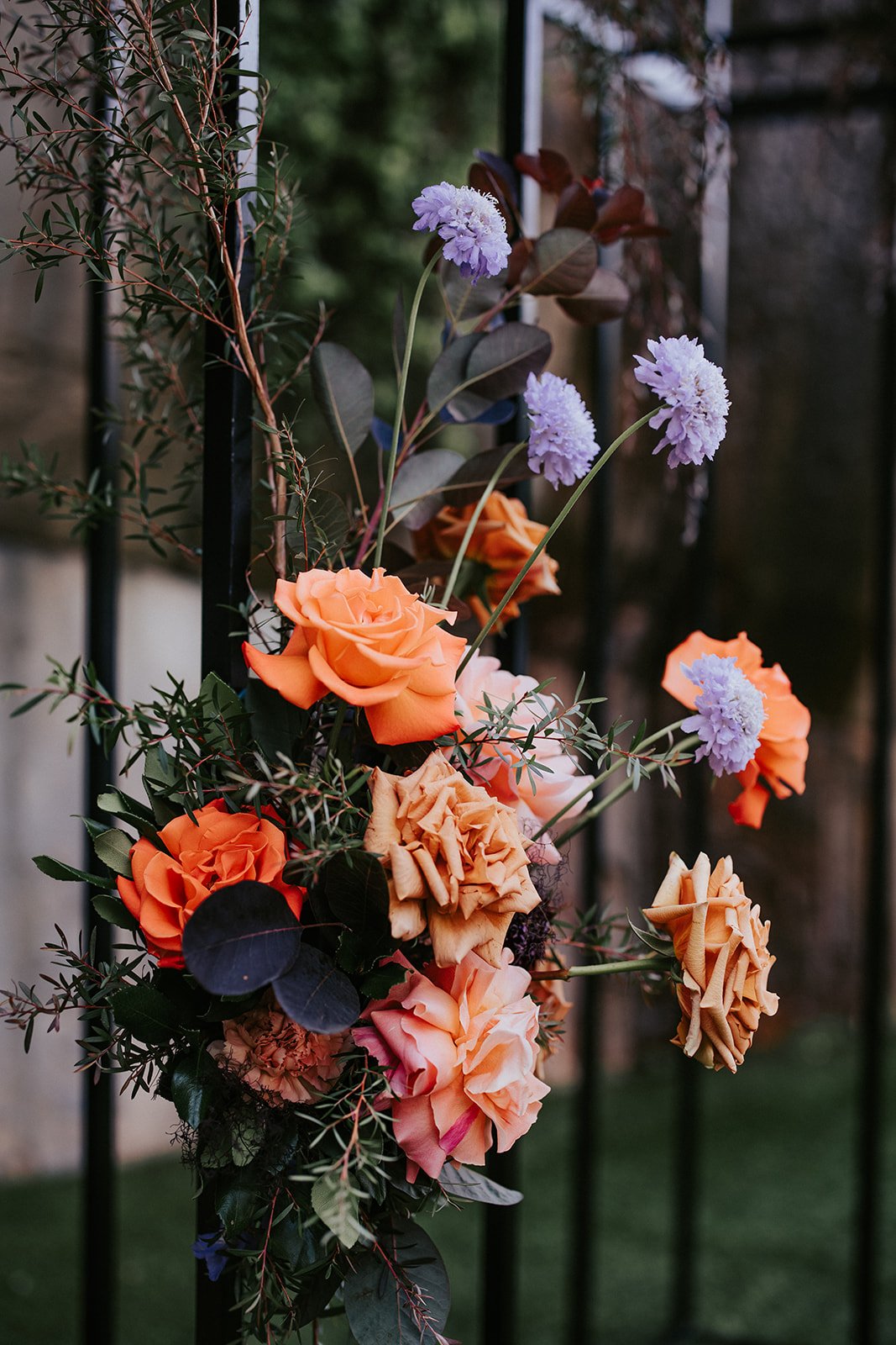 C and T (60).jpg