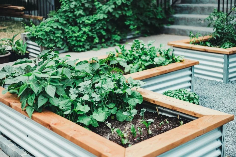 Tips and Tricks to Make Your Garden More Eco-Friendly