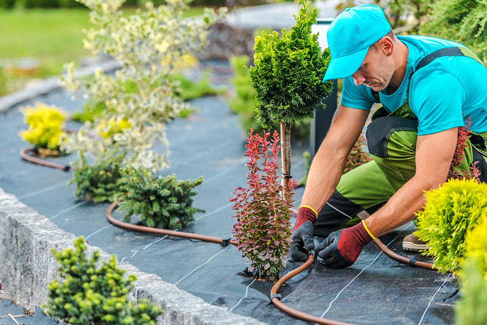 Benefits of Hiring a Gardening &amp; Landscaping Service