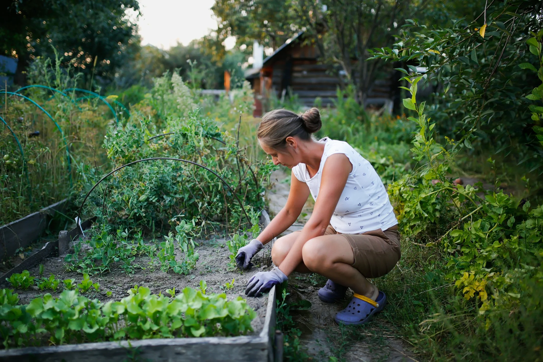 Renovating Your Garden on a Budget