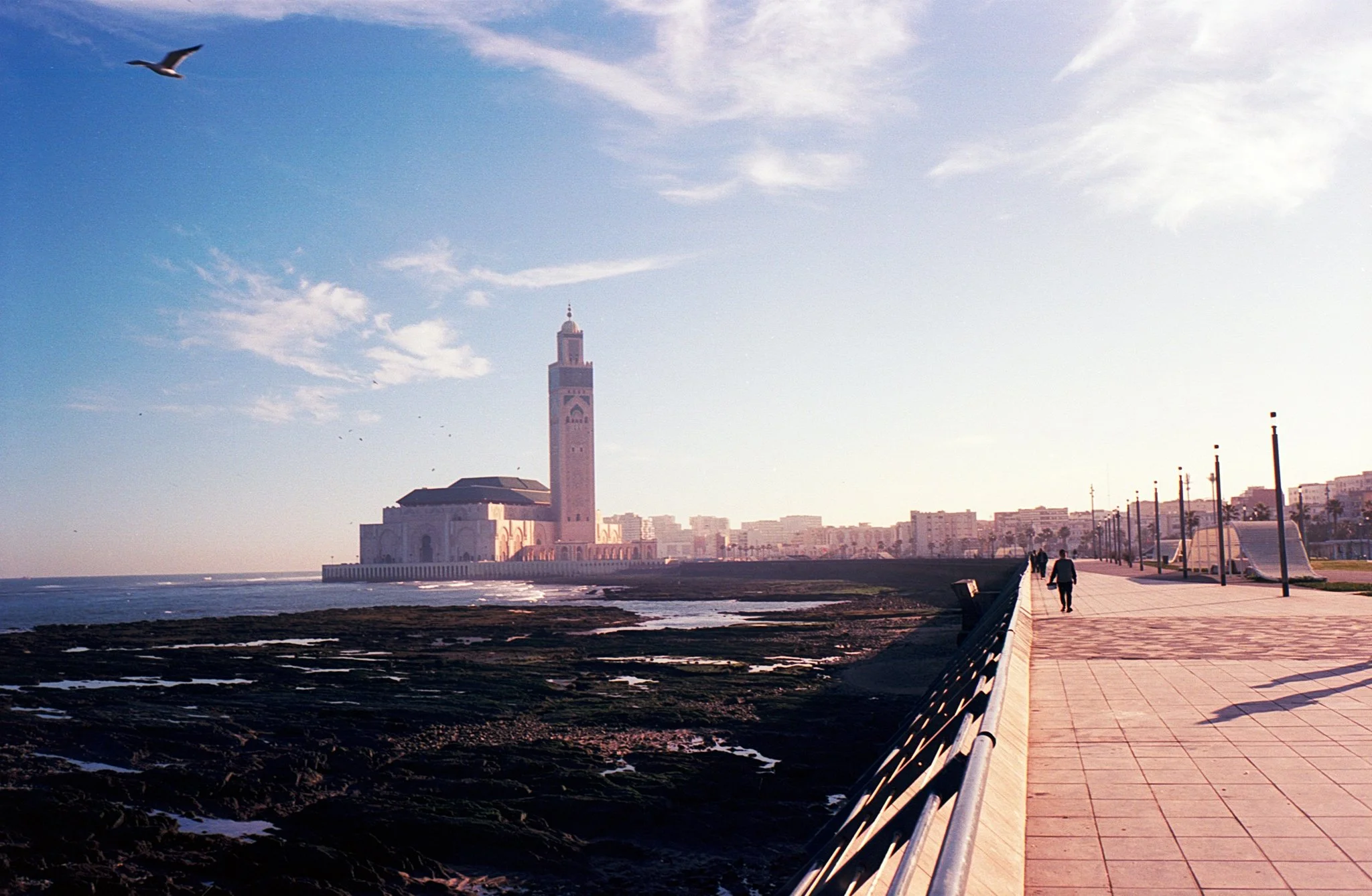 Morocco Roll 3_27.jpg