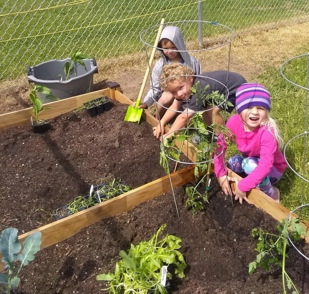 South Wasco Alliance and Tygh Valley Head Start Team Up on Raised Bed Project
