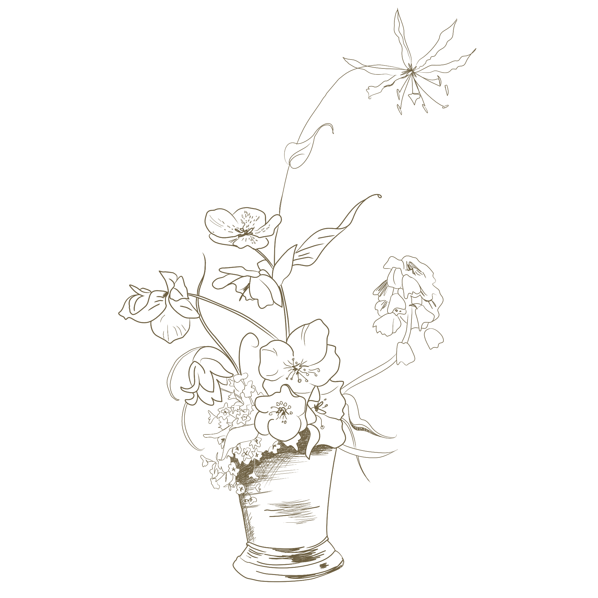 IMG_1929.PNG
