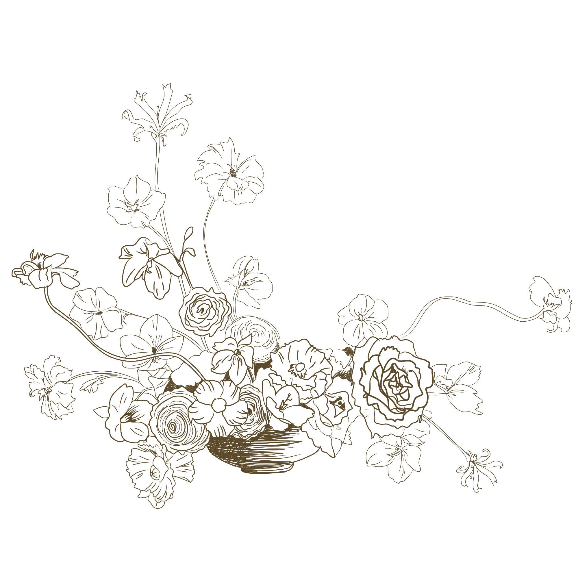 IMG_1848.PNG
