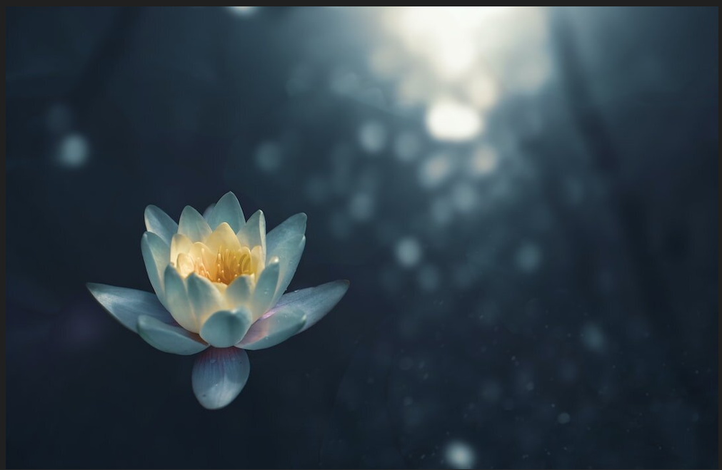 The Return (Stewardship)