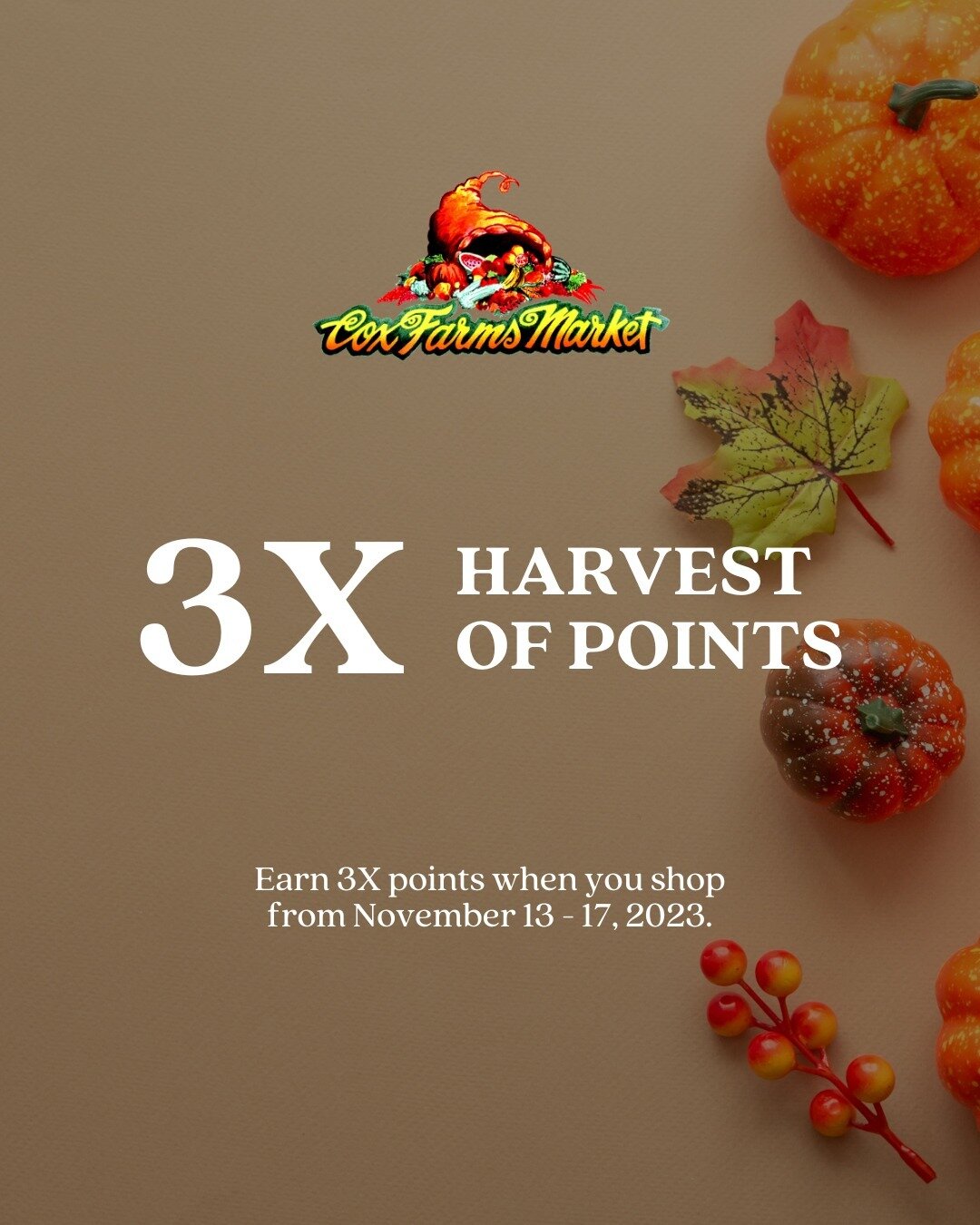 📣 Earn 3X points when you shop 🛒 from November 13&ndash;17 this holiday 🍁 season. We're putting cash back in your pocket to thank you for shopping local 🙂.