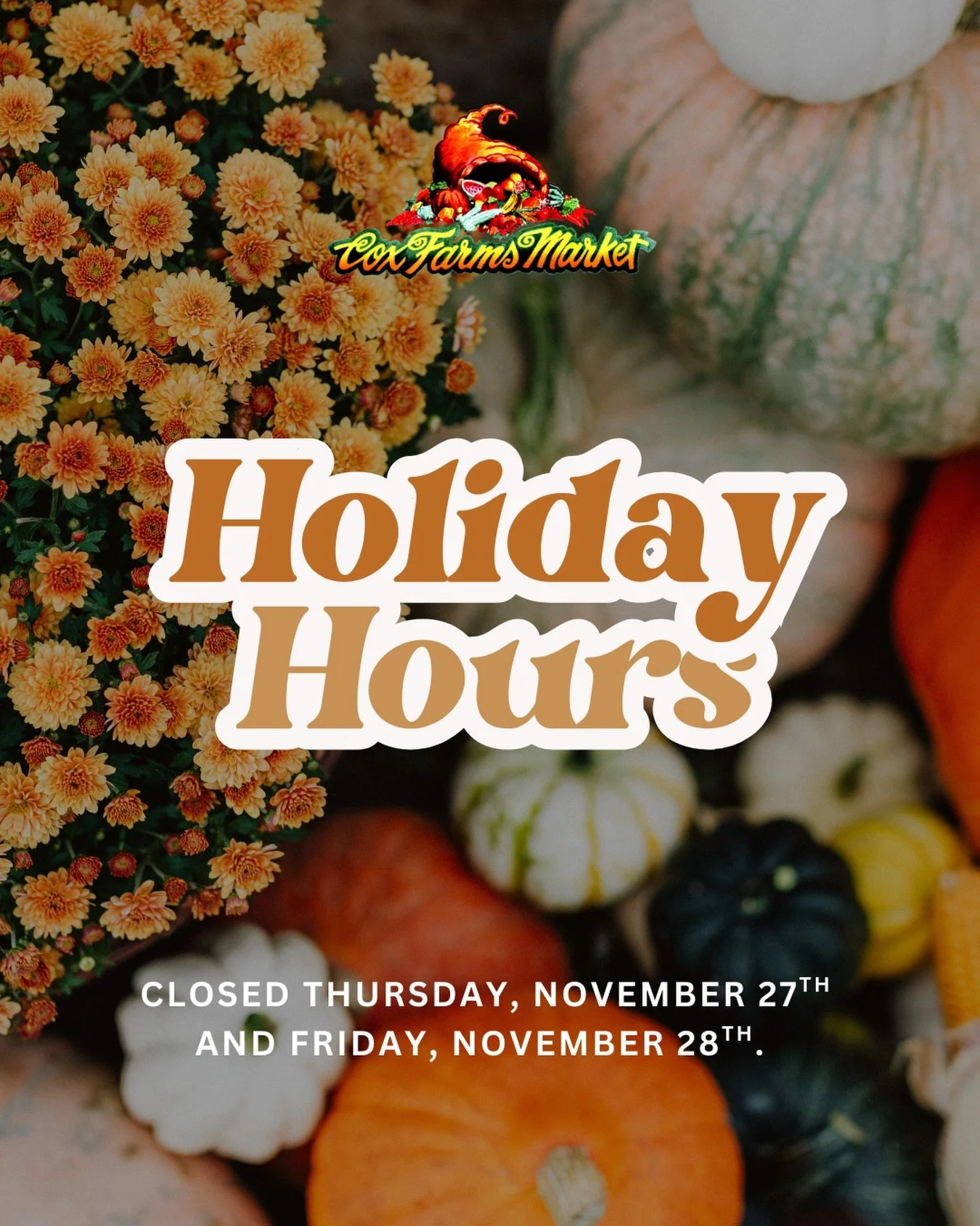 Thanksgiving week update 🍂

We&rsquo;ll be open Monday to Wednesday with our usual hours, closed Thursday and Friday, and back to our normal schedule on Saturday.

Come shop fresh produce, pantry staples, and all your holiday essentials before the b