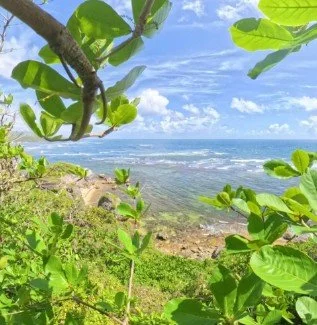 Book your Barbados Hike Tour with our concierge team at Barbados Inspired Holidays