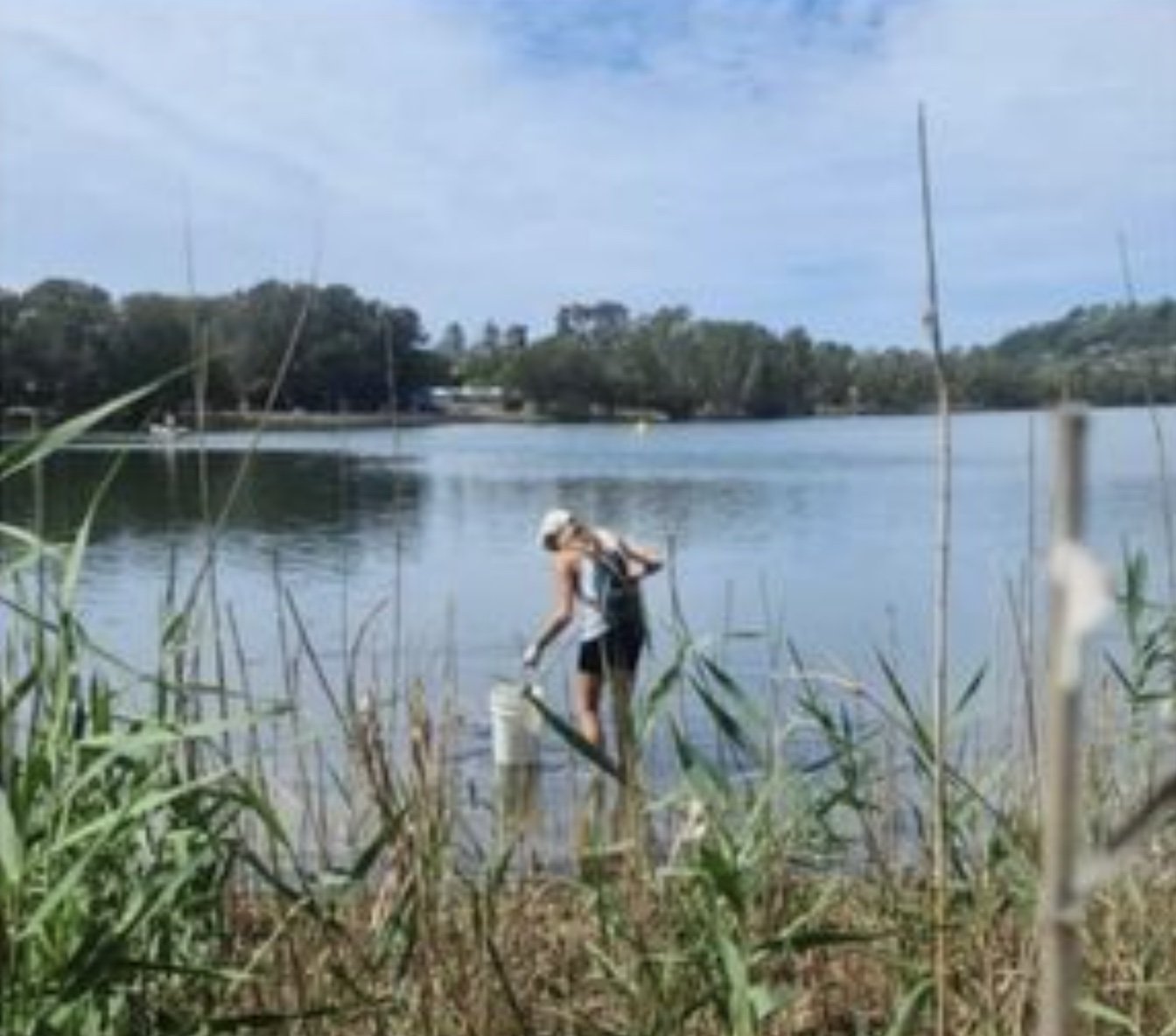 narrabeen lake 2.jpg