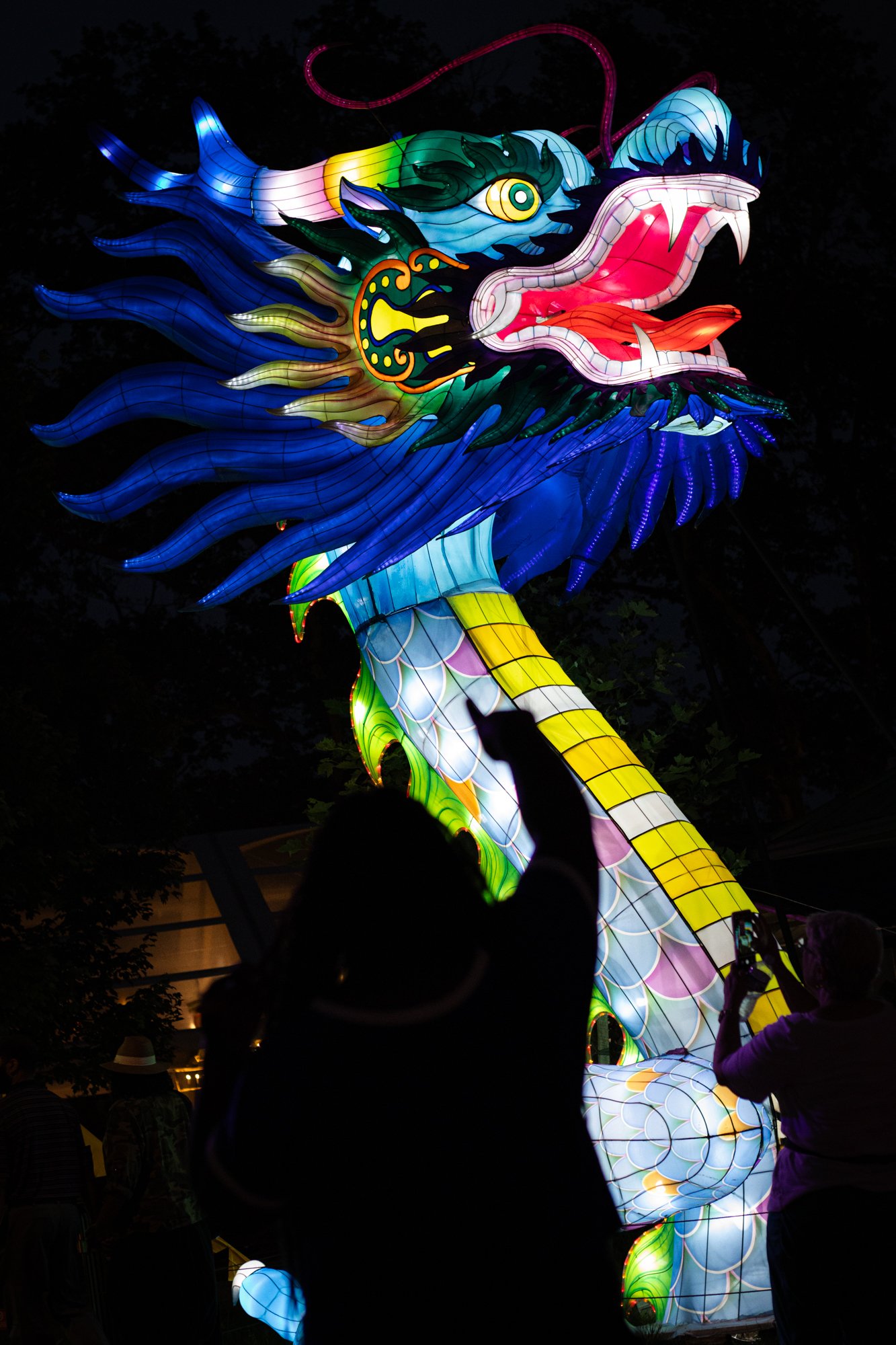 Team Up Philly Chinese Lantern Festival Summer 2023 WEB-37.jpg