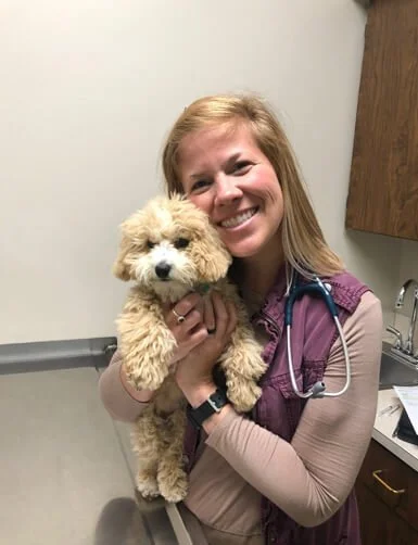 Veterinarian holding a fluffy puppy at a veterinary clinic.