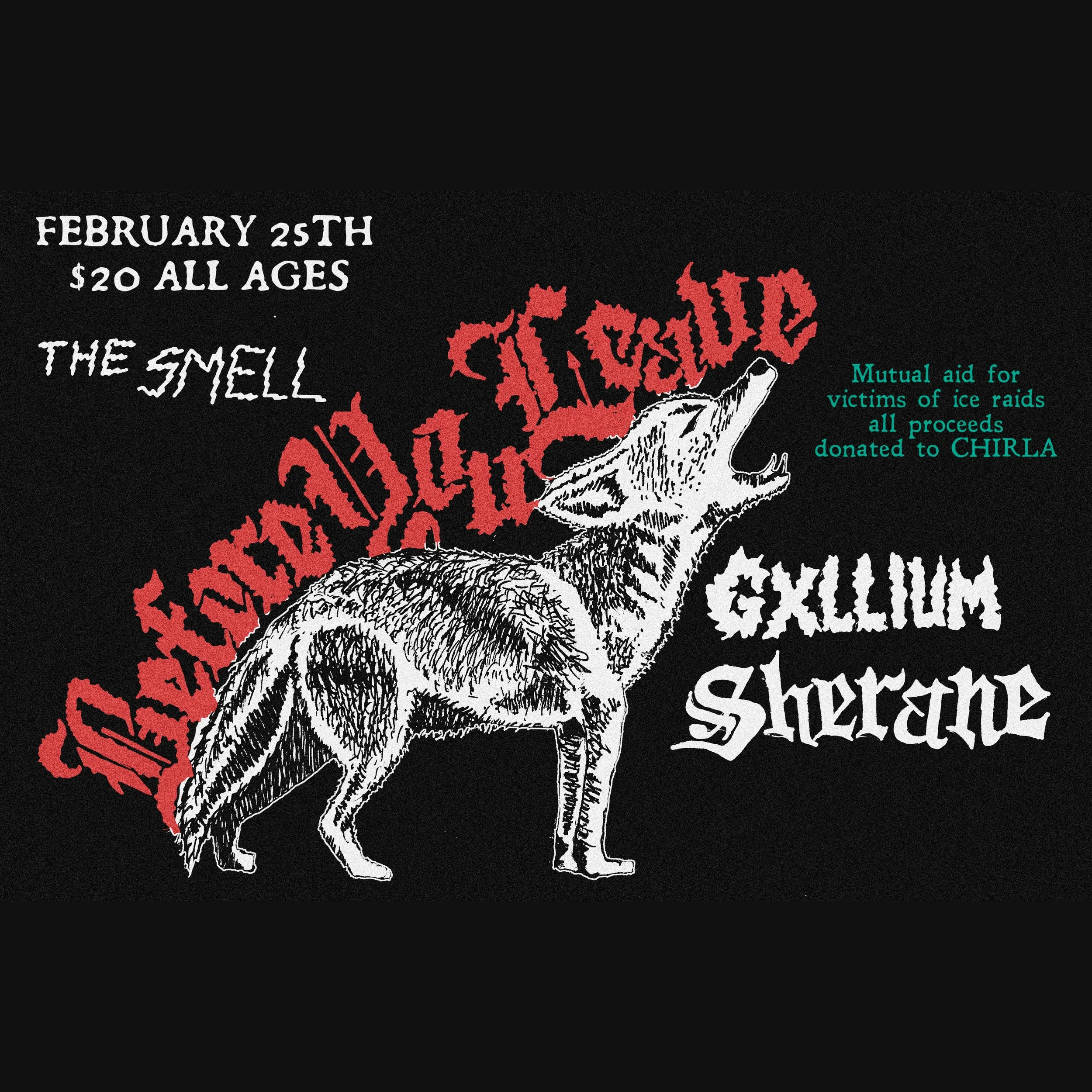 Wednesday, February 25, 2026