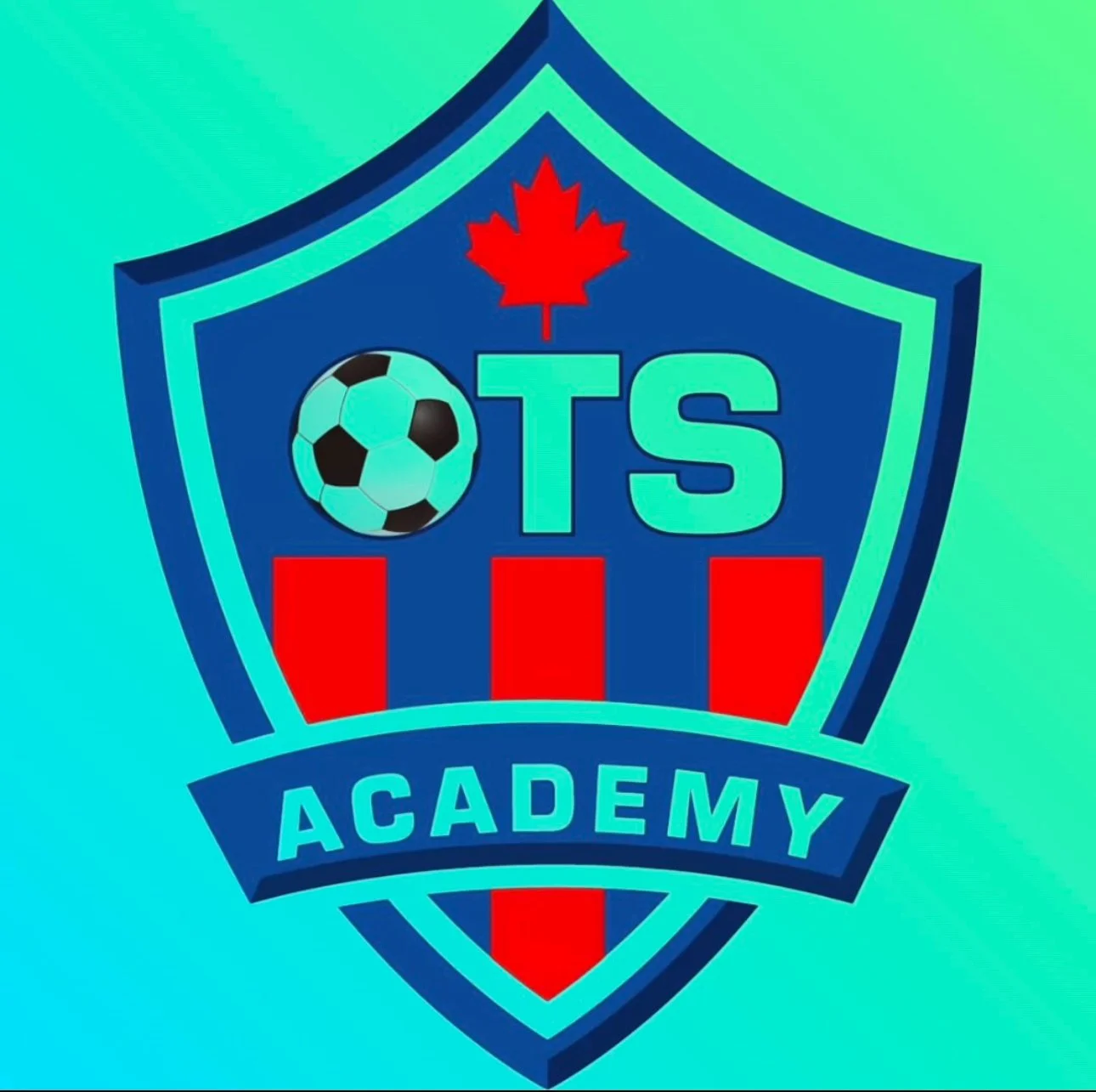 www.onetouchsocceracademy.ca