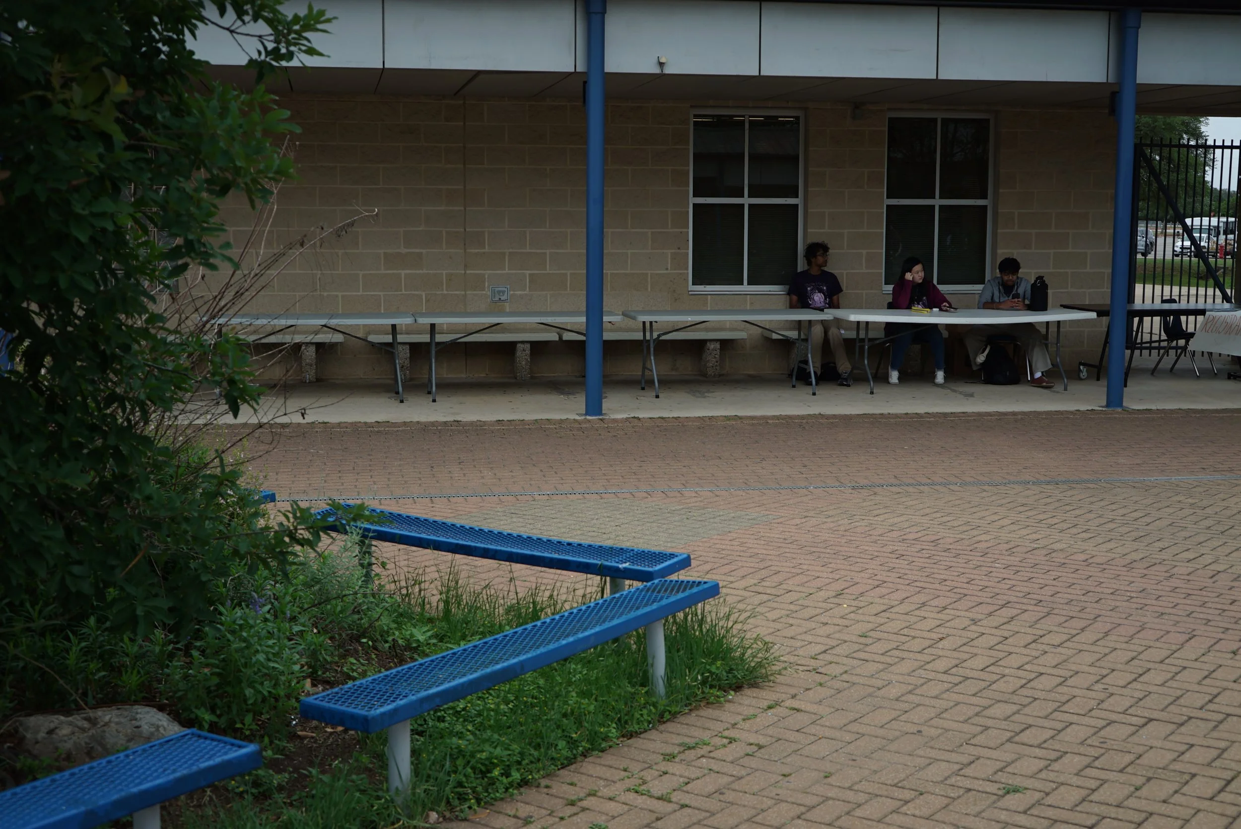 DSC06651.JPG
