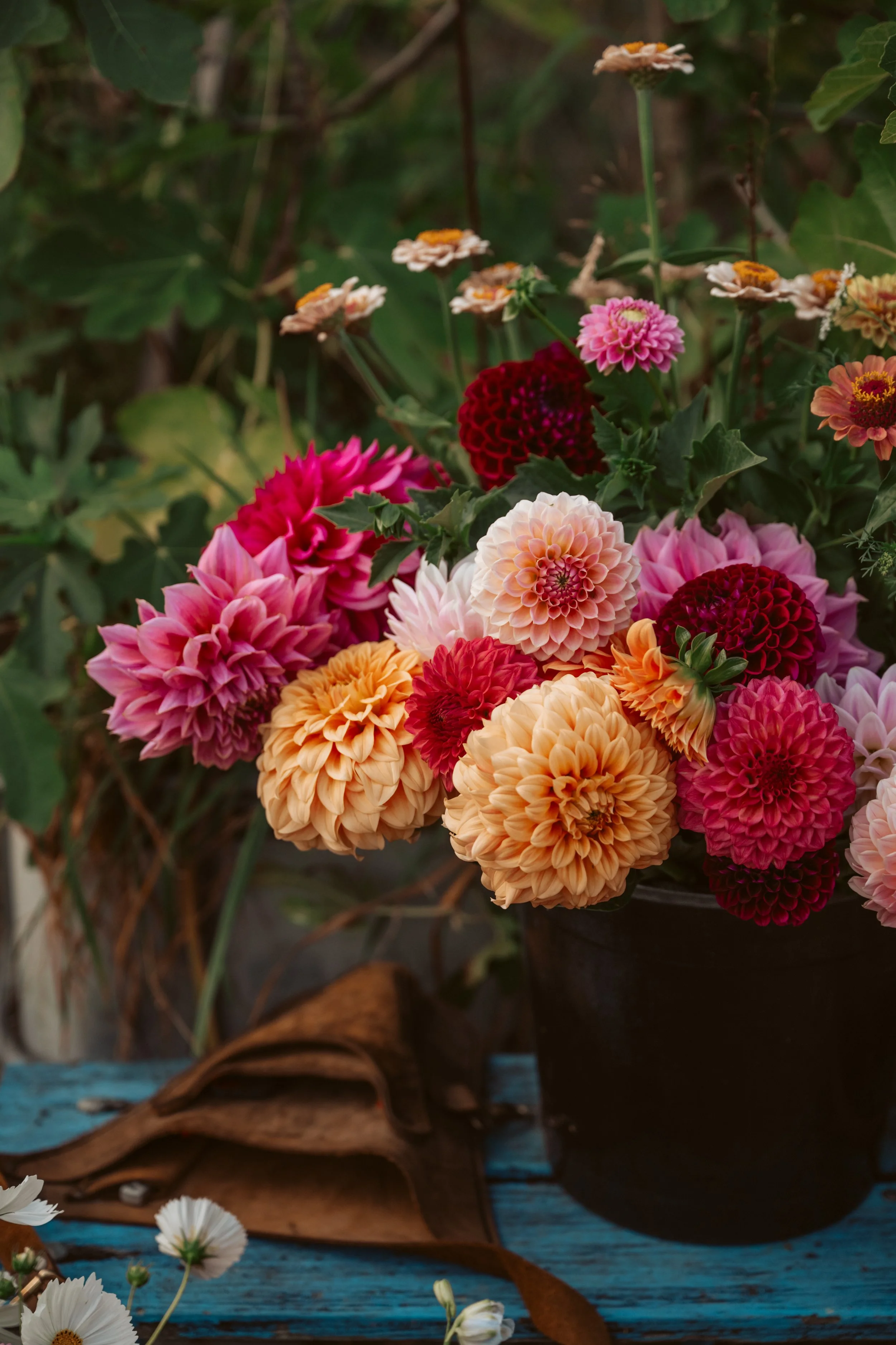 What to Do When Your Dahlia Tubers Arrive